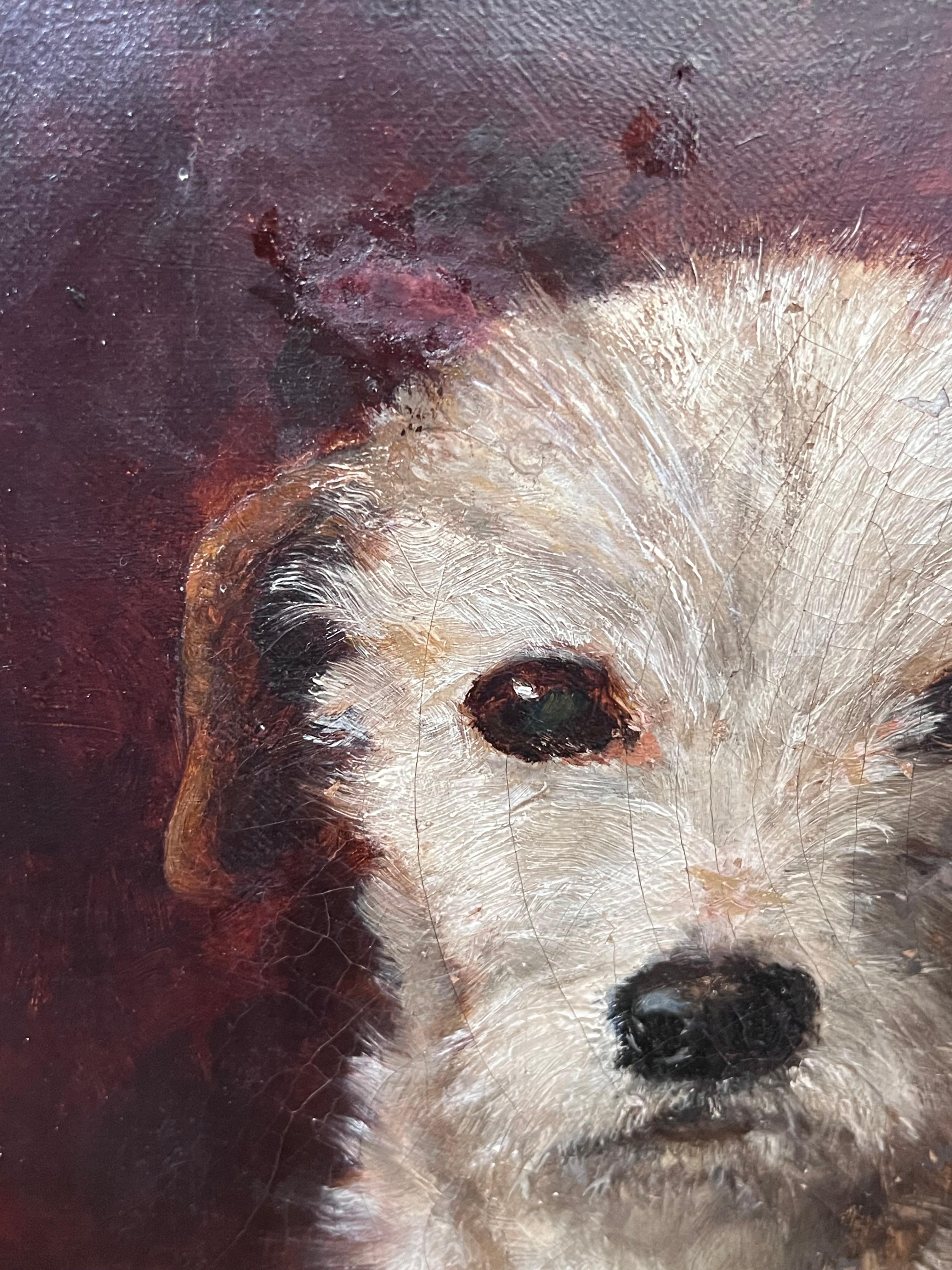 Head Portrait of a Terrier
English artist, 19th century
oil on canvas, framed 
framed: 16.25 x 14.25 inches
canvas: 12 x 10 inches
Provenance: private collection, England
Condition: old repairs but presented now in very good condition

For more any