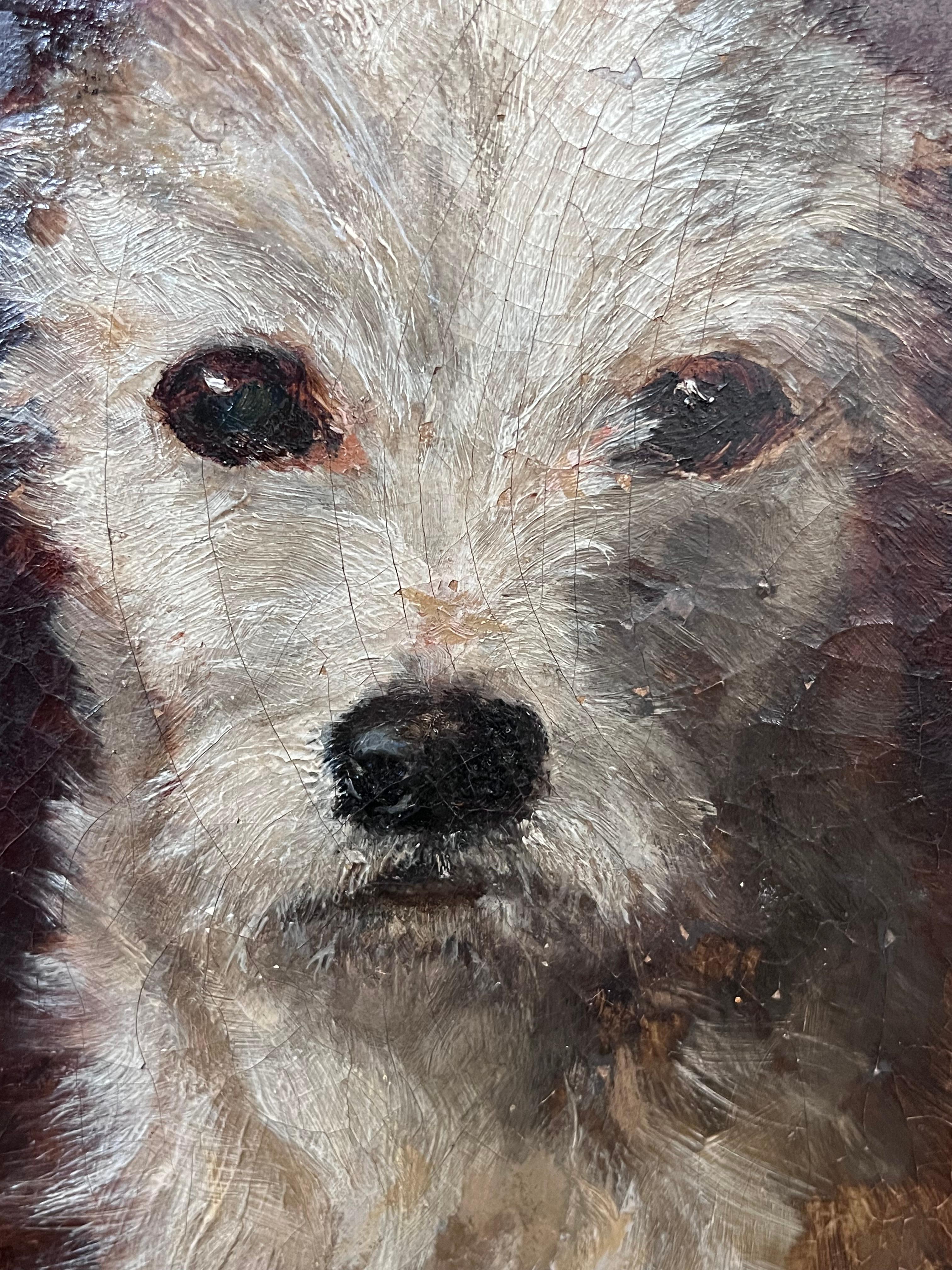 19th Century English Victorian Head Portrait of Terrier Dog Scruffy Character 1
