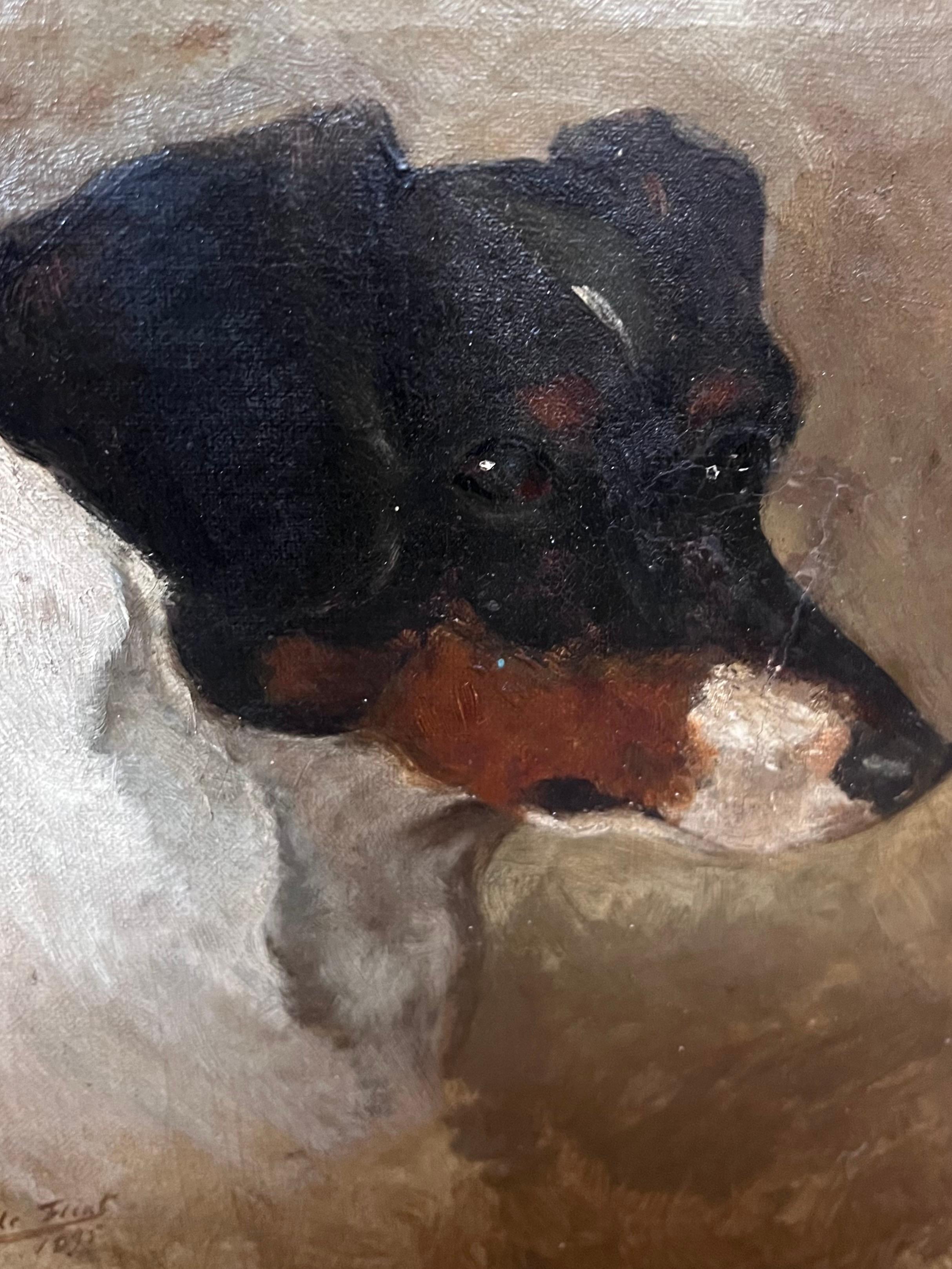 Ritratto di testa di cane Jack Russell Terrier
English School, 19° secolo
olio su tela firmato, incorniciato 
datato 1895
incorniciato: 16,25 x 14,25 pollici
tela: 12 x 10 pollici
Provenienza: collezione privata, Regno Unito
Condit: vecchie