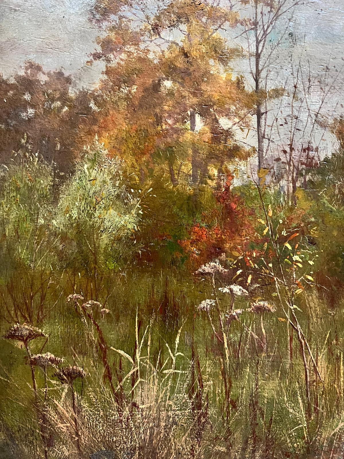 Artist/ School: English School, late 19th/ early 20th century.
The painting came from a large collection of works by one artist. A very few of them are signed what looks to be 'F. Wardle'. Signed intials 'F.W'

Title: Woodland Landscape

Medium: oil