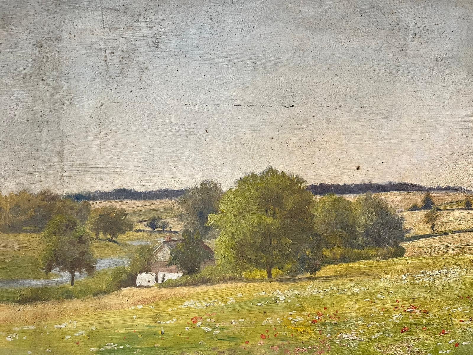 Antique Victorian English Oil Large Poppy Field Landscape - Painting by Antique English 