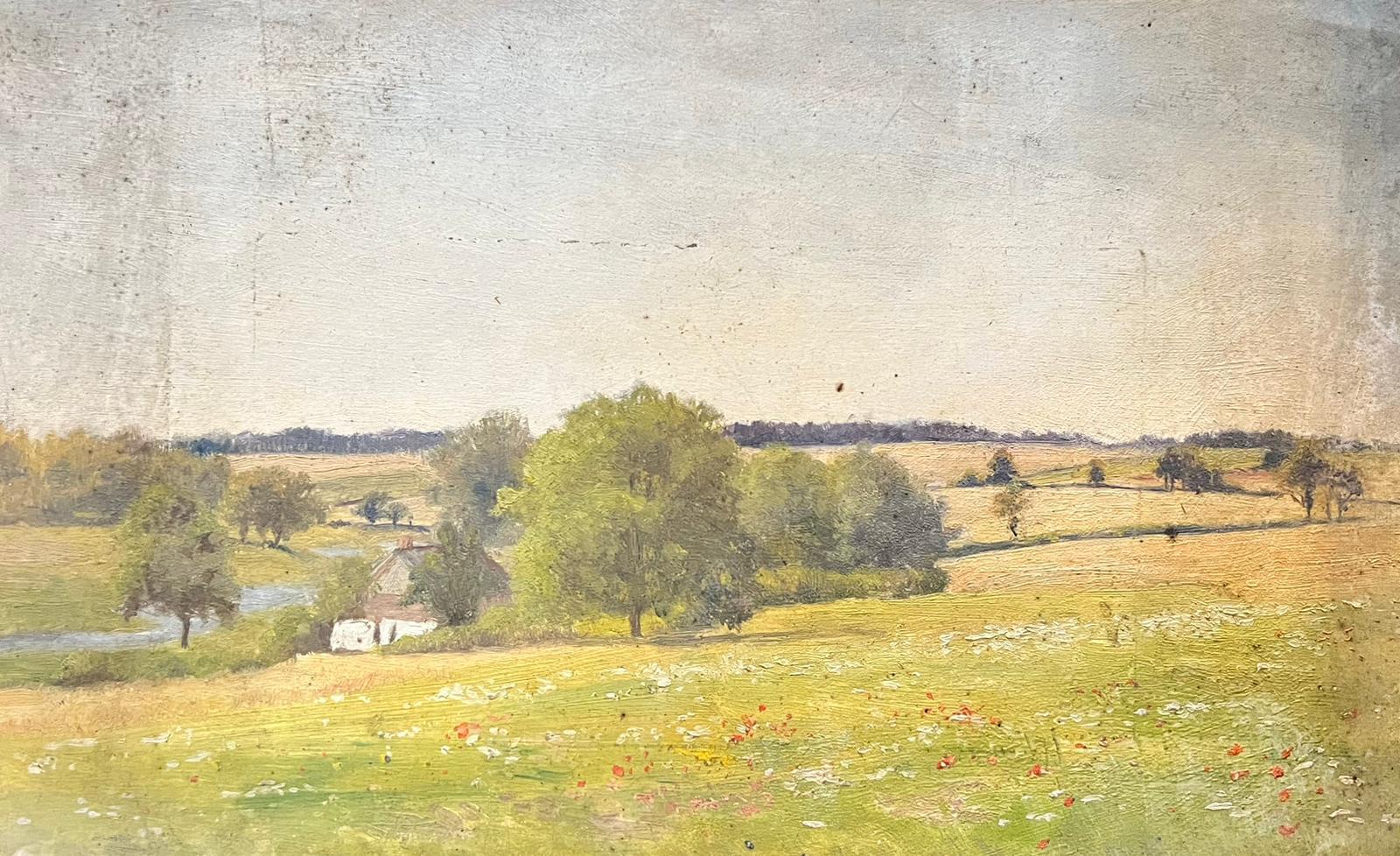 Artist/ School: English School, late 19th/ early 20th century.
The painting came from a large collection of works by one artist. A very few of them are signed what looks to be 'F. Wardle'. 

Title: Woodland Landscape

Medium: oil on thin board ,