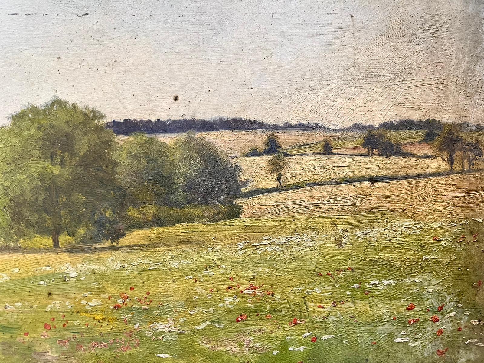 Antique Victorian English Oil Large Poppy Field Landscape 4
