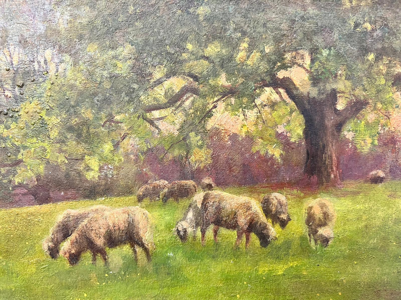 Artist/ School: English School, late 19th/ early 20th century.
The painting came from a large collection of works by one artist. A very few of them are signed what looks to be 'F. Wardle'. 

Title: Sheep In Field

Medium: oil on thin canvas,