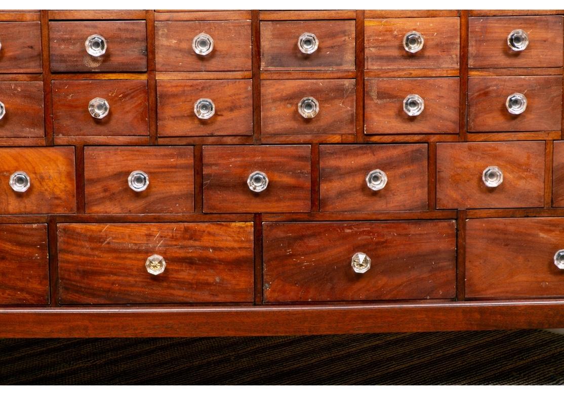 Antique English 36 Drawer Apothecary Chest, C. 1870 6