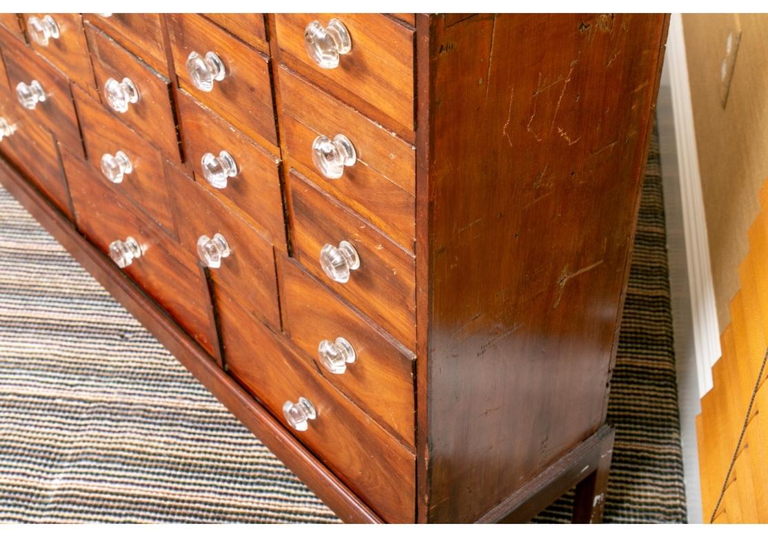 Antique English 36 Drawer Apothecary Chest, C. 1870 2