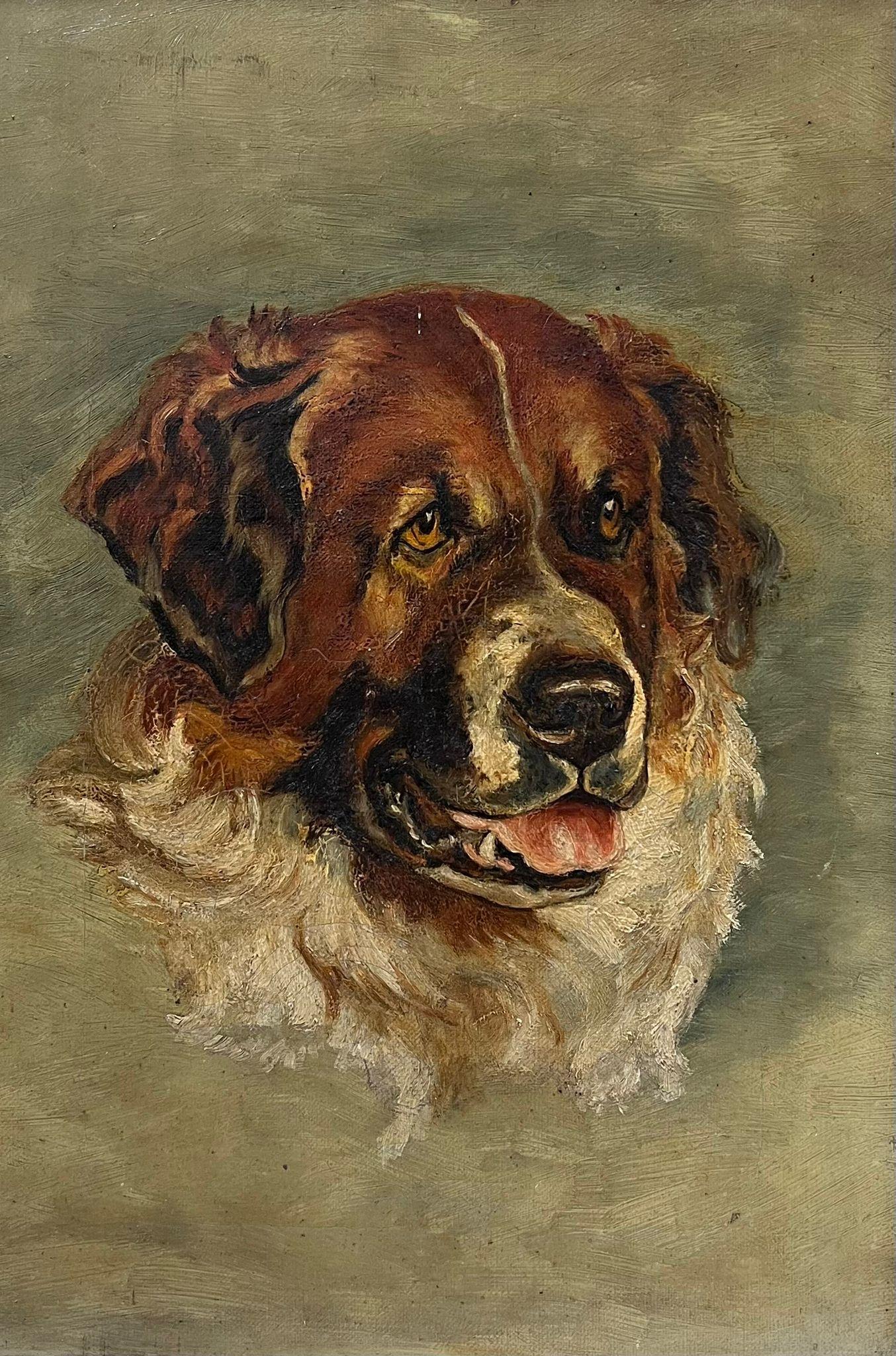 Retrato de cabeza de un perro San Bernardo? Pintura al óleo inglesa antigua sobre lienzo - Painting de Antique English artist