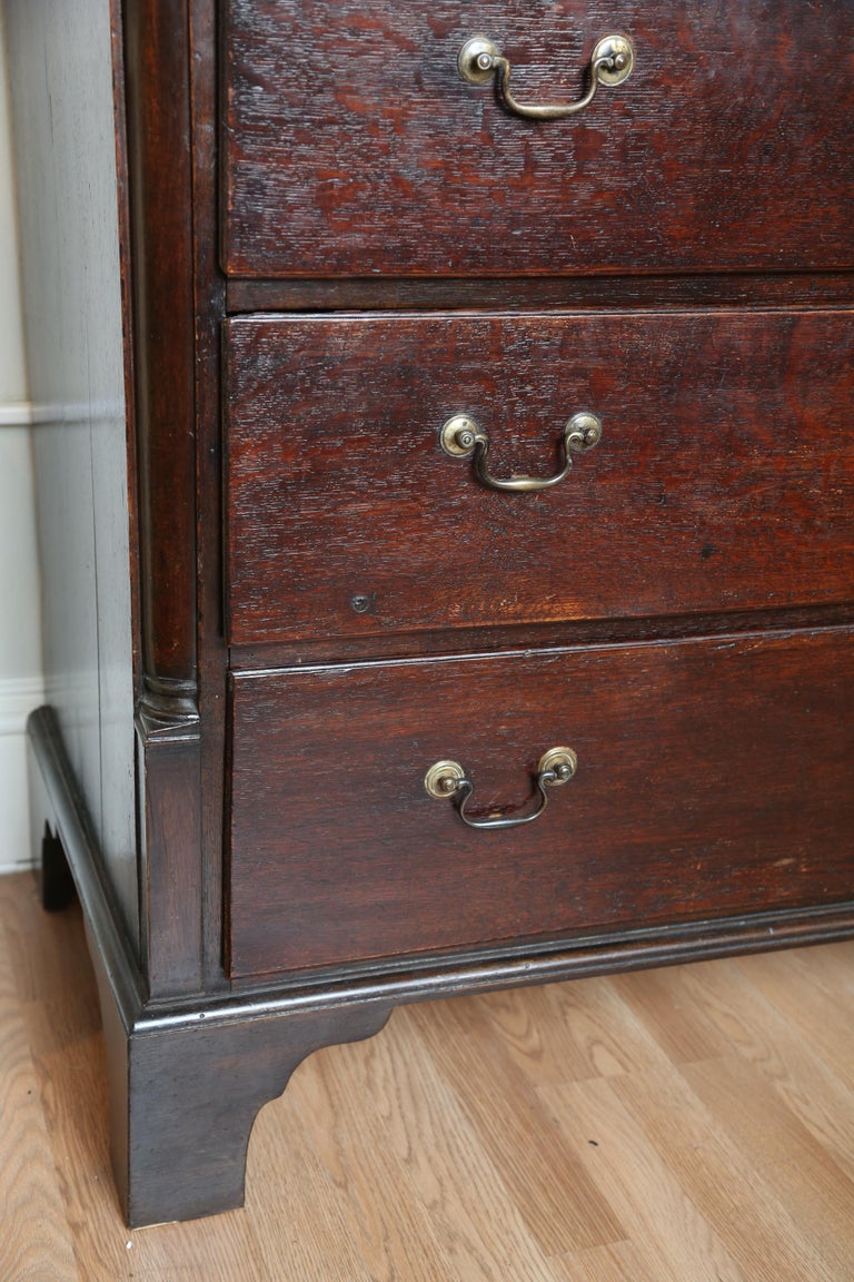 Antique English Bachelor's Chest For Sale at 1stdibs