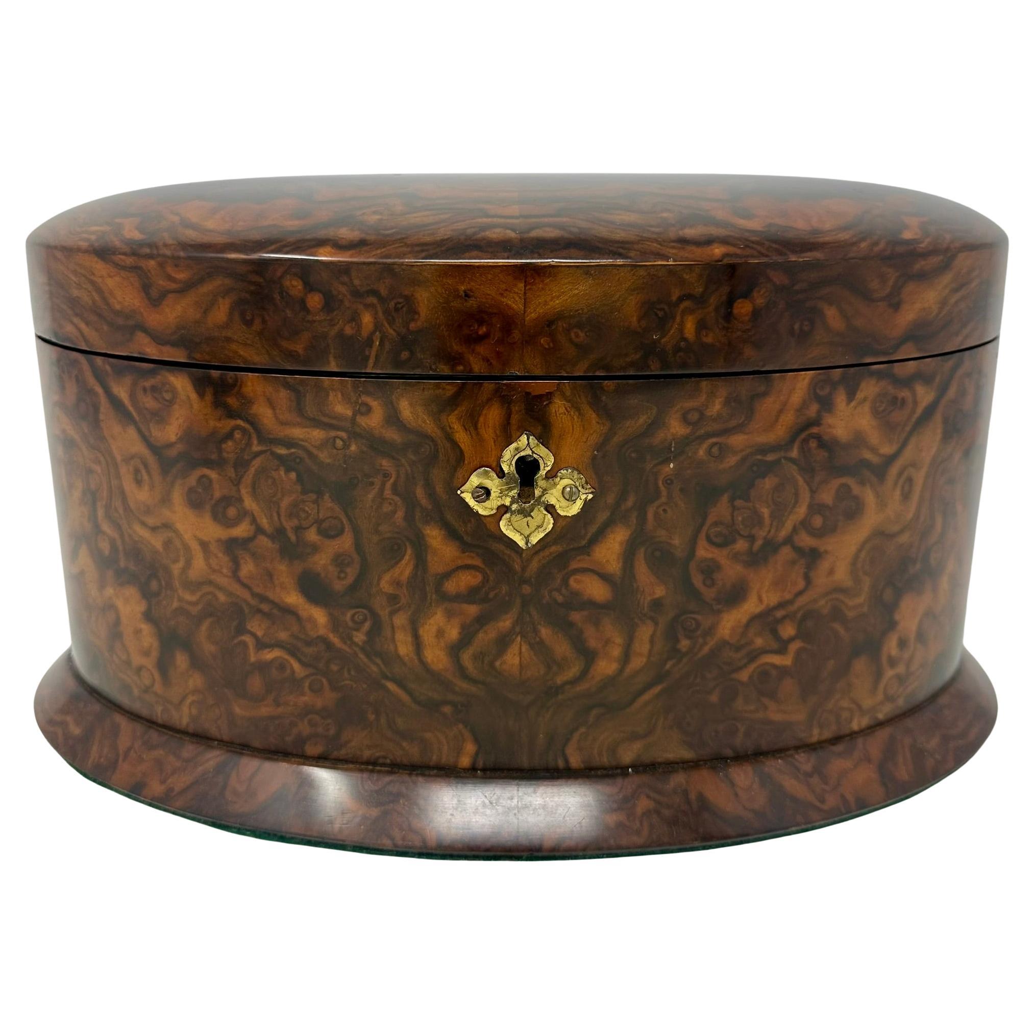 Rare Antique Black Walnut Cigar Caddy with Cover, Circa 1880-1890.