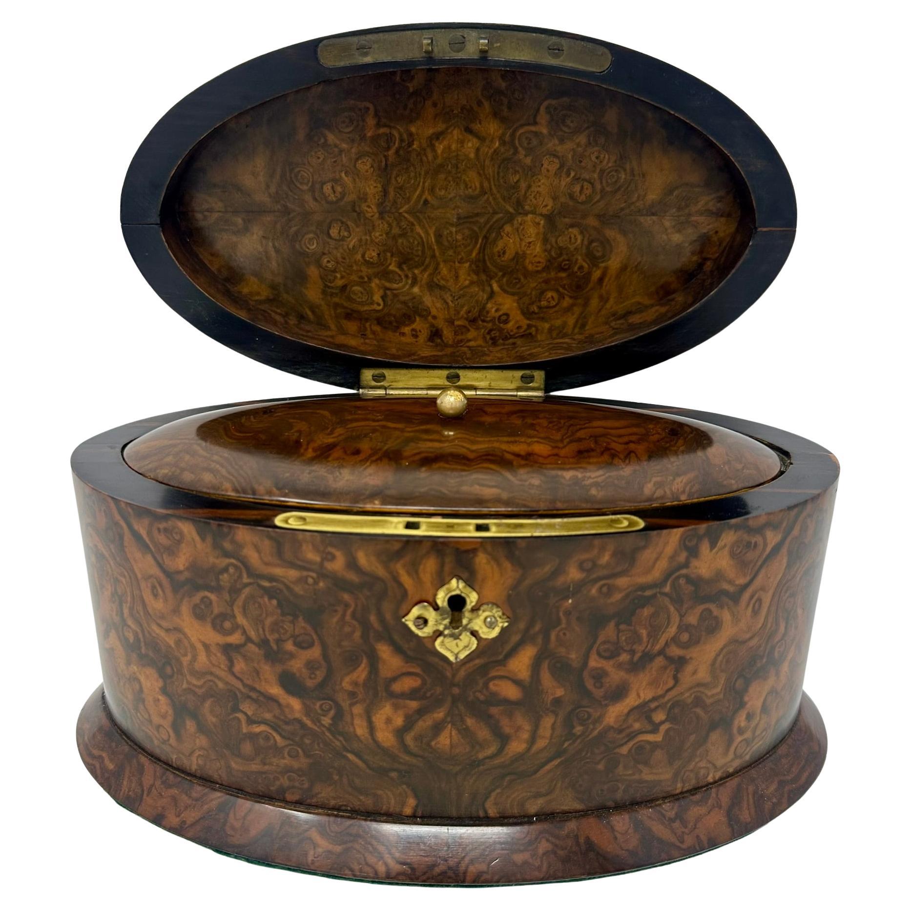 Antique English Black Walnut Cigar Caddy with Cover, Circa 1880-1890. In Good Condition In New Orleans, LA