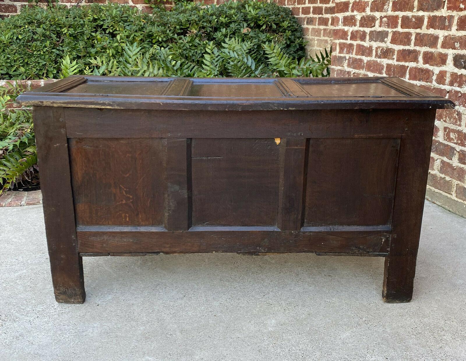 Antique English Blanket Box Chest Trunk Coffer Storage Chest Carved Oak 18th C 5