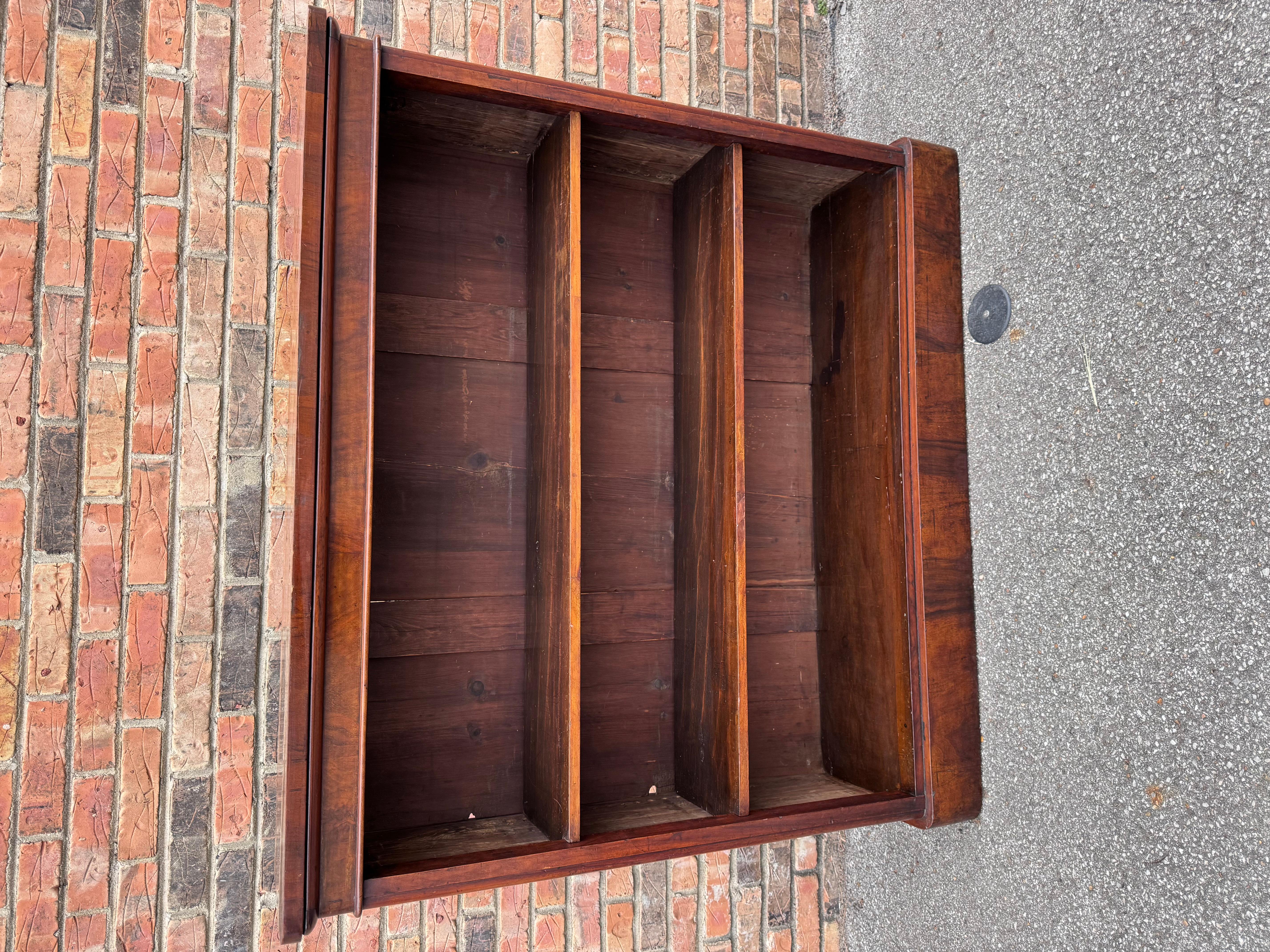 Antique English Book Shelve For Sale 2