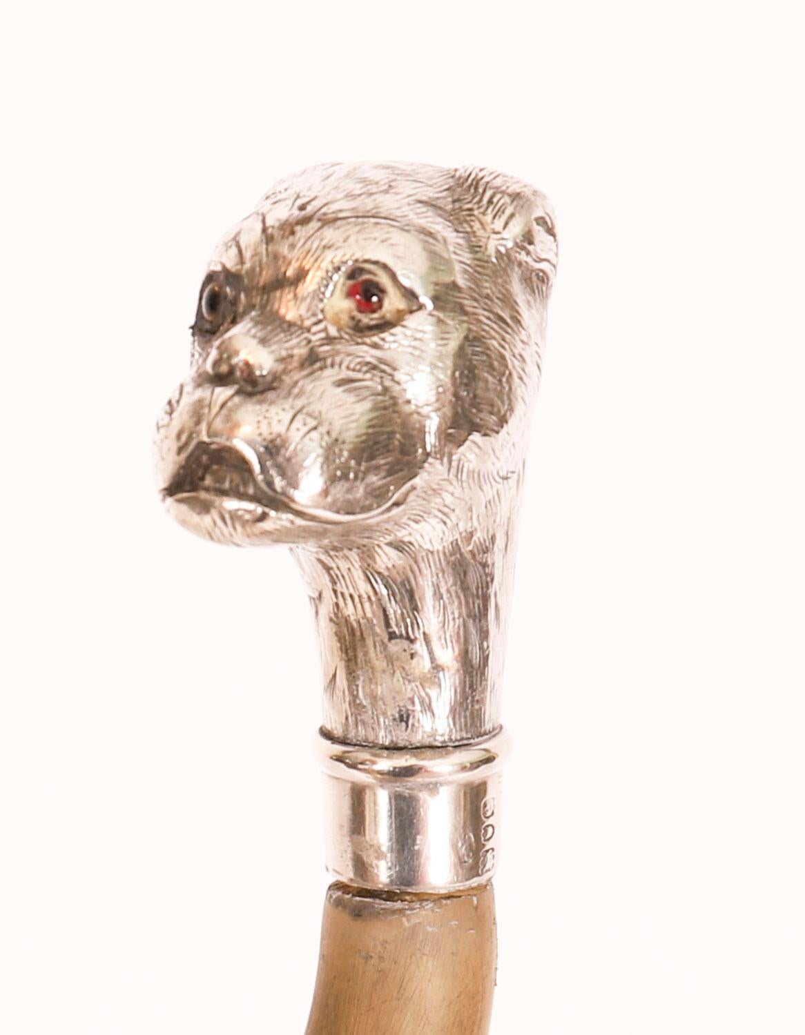 Antique English Boxer Dogs Head Walking Cane Stick 20th Century For Sale 5