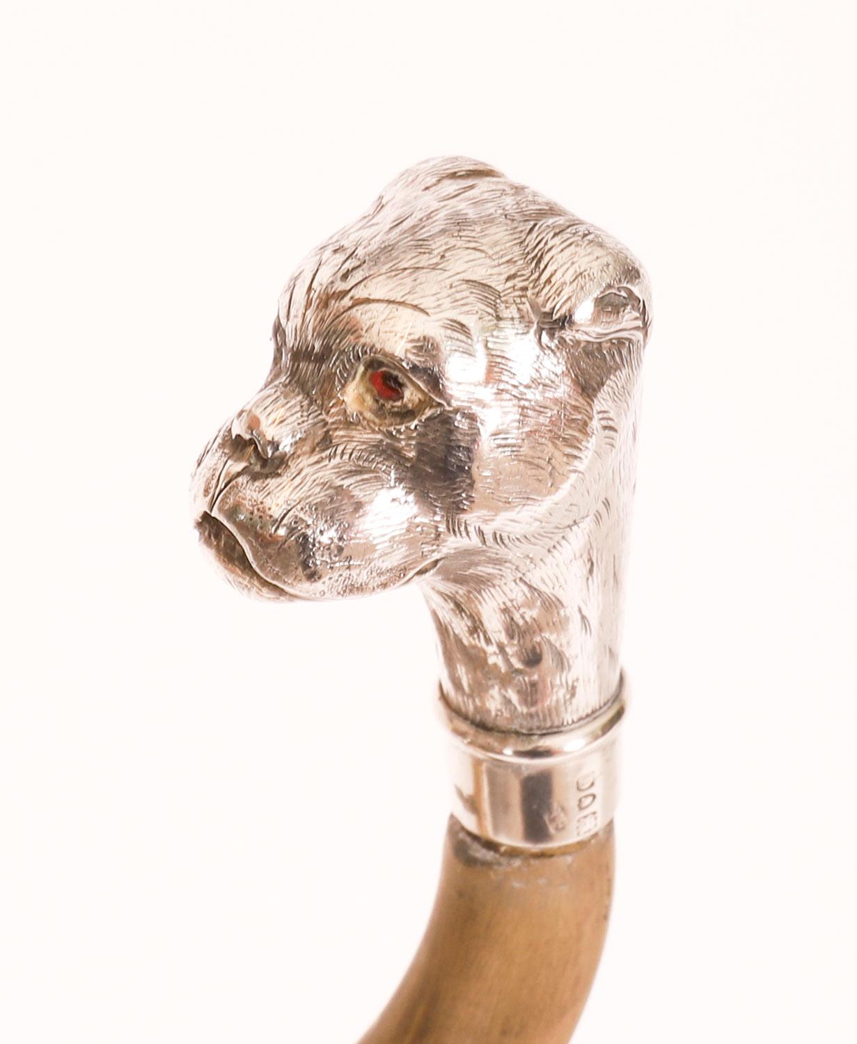 Antique English Boxer Dogs Head Walking Cane Stick 20th Century For Sale 7