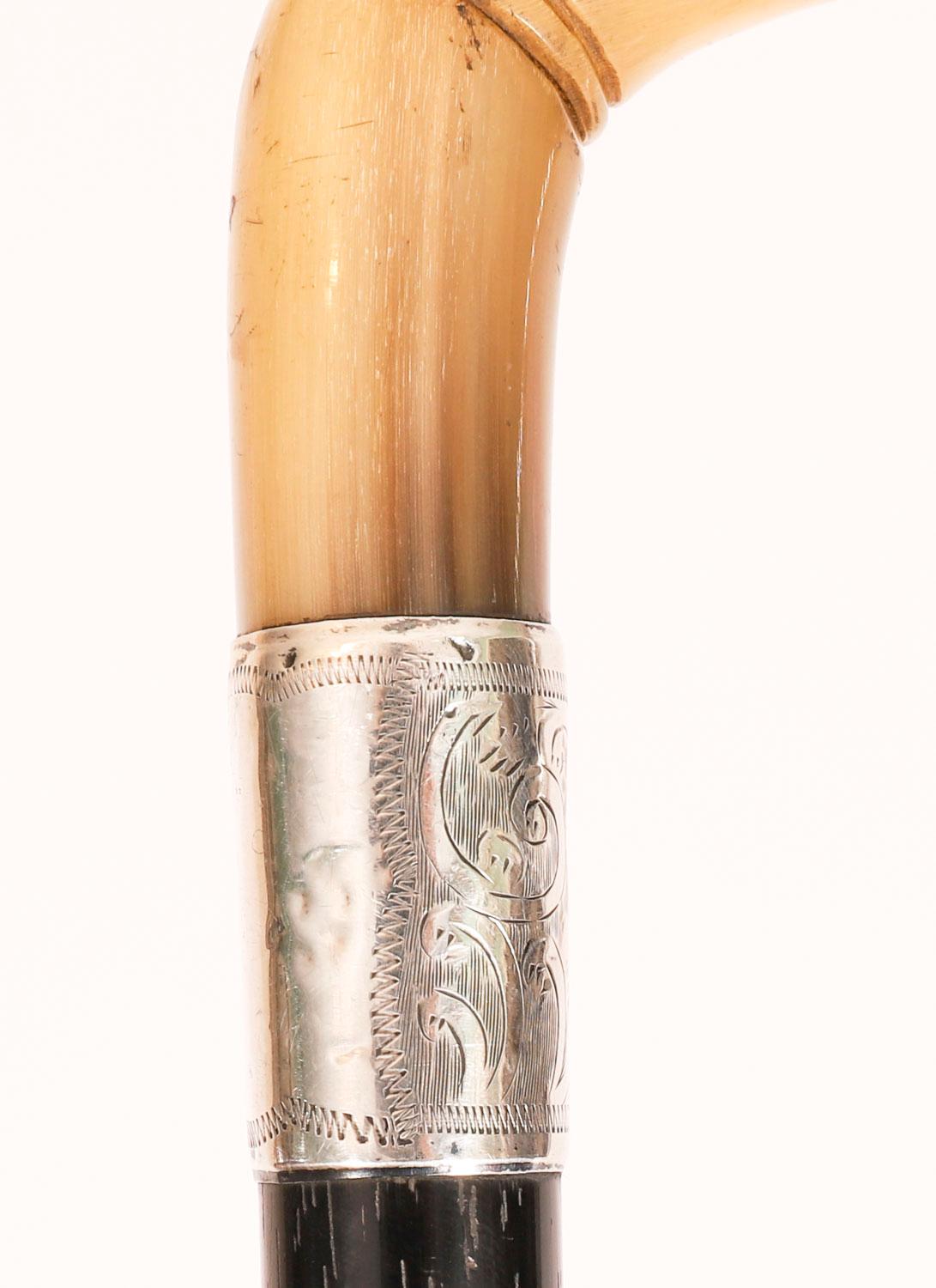 Antique English Boxer Dogs Head Walking Cane Stick 20th Century For Sale 8