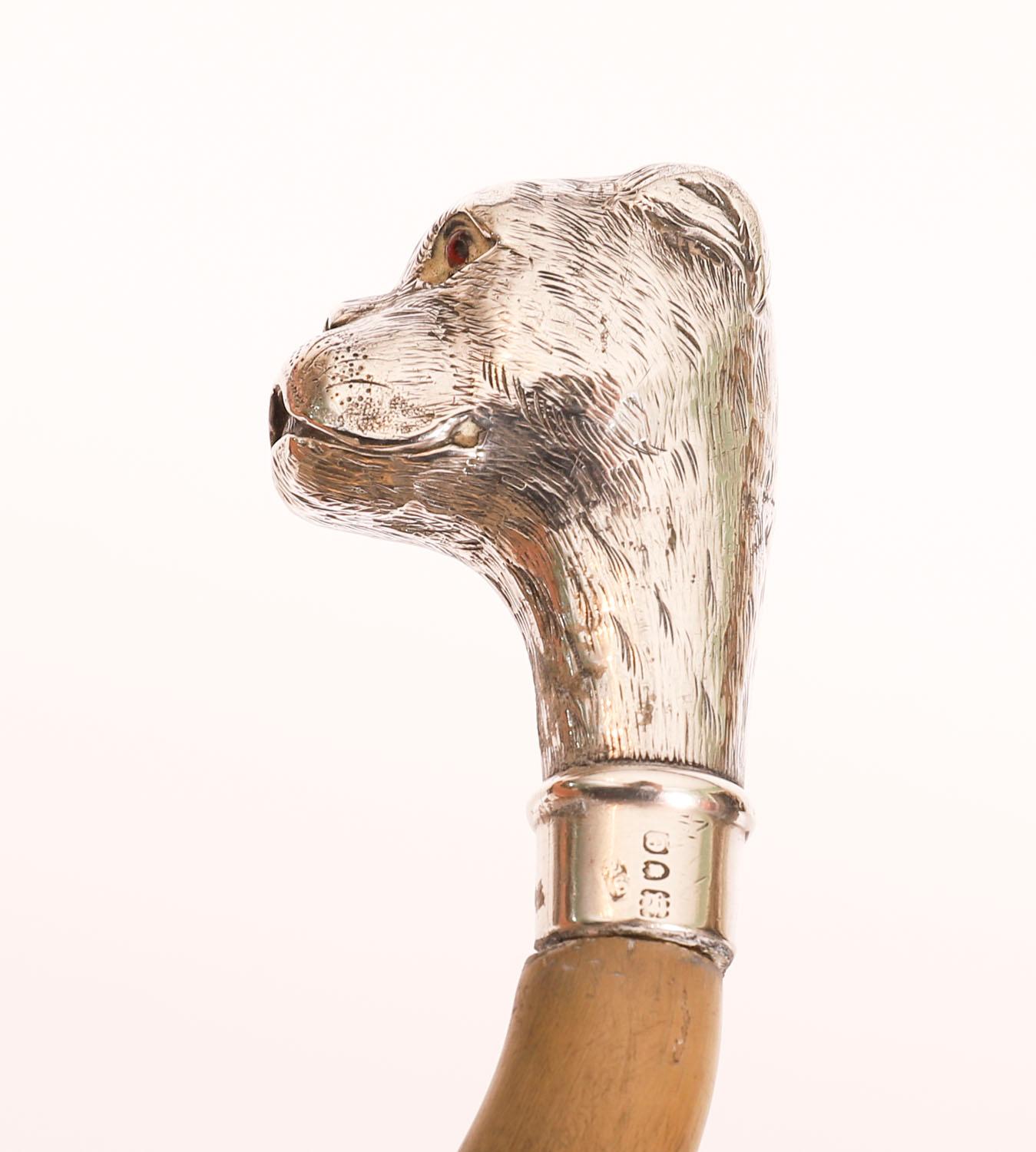 This is a fantastic antique silver boxer dog head walking stick, bearing hallmarks for London 1900.

It has a very decorative carved bone crook handle with silver boxer head pommel on a ebonized tapering cane with a silver collar, and its original
