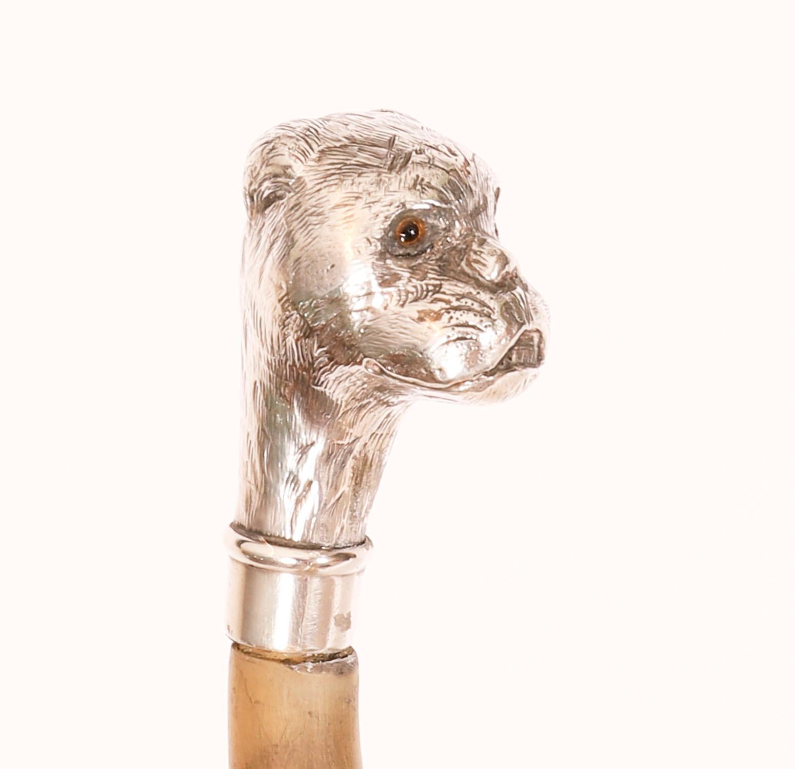 Antique English Boxer Dogs Head Walking Cane Stick 20th Century In Good Condition For Sale In London, GB