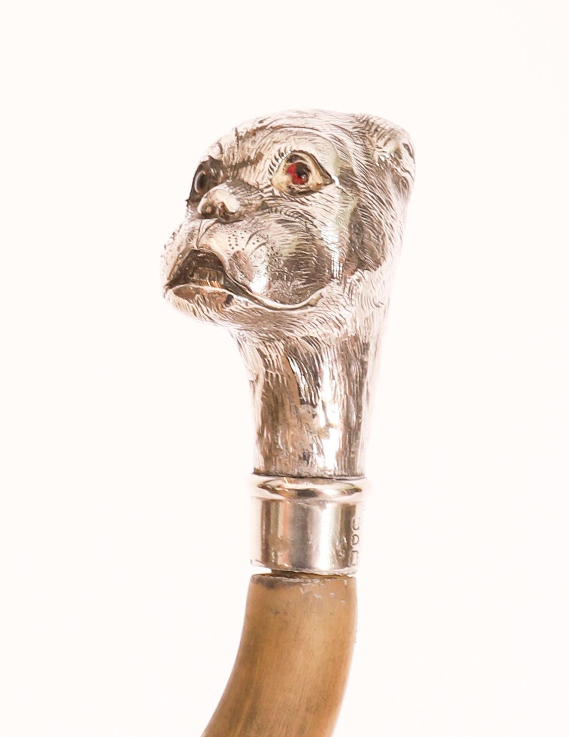 Silver Antique English Boxer Dogs Head Walking Cane Stick 20th Century For Sale