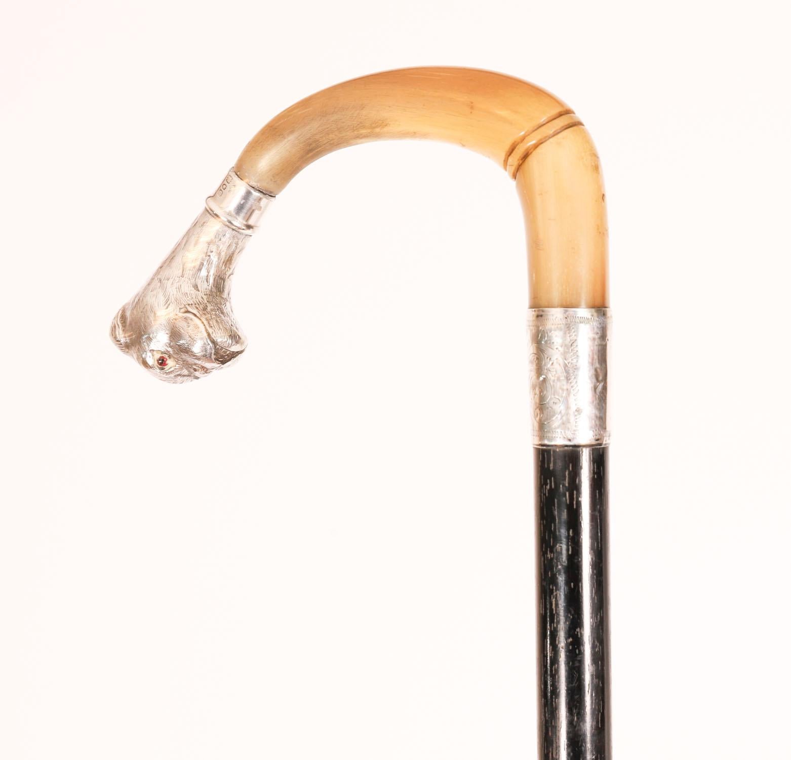 Antique English Boxer Dogs Head Walking Cane Stick 20th Century For Sale 1