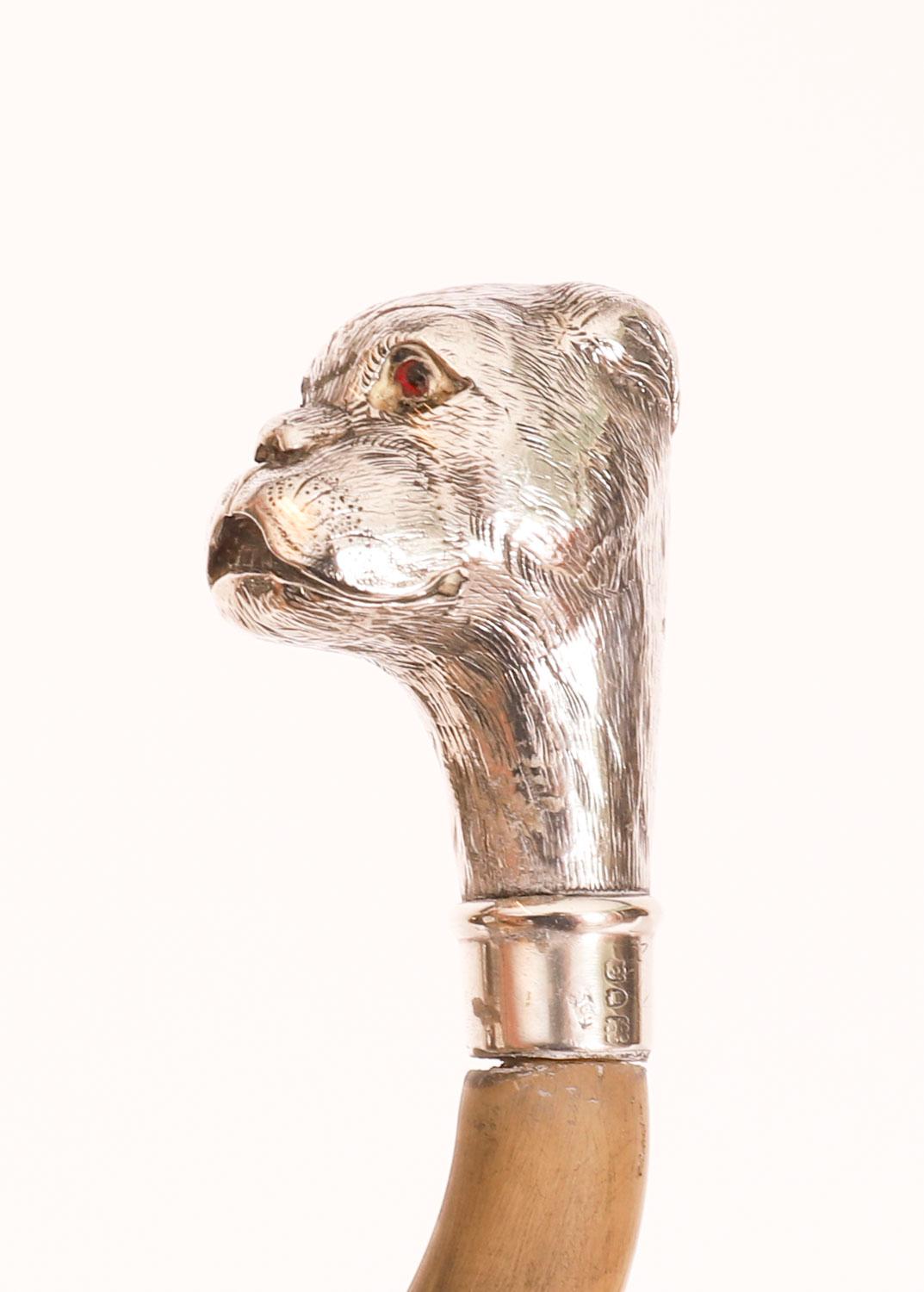 Antique English Boxer Dogs Head Walking Cane Stick 20th Century For Sale 2