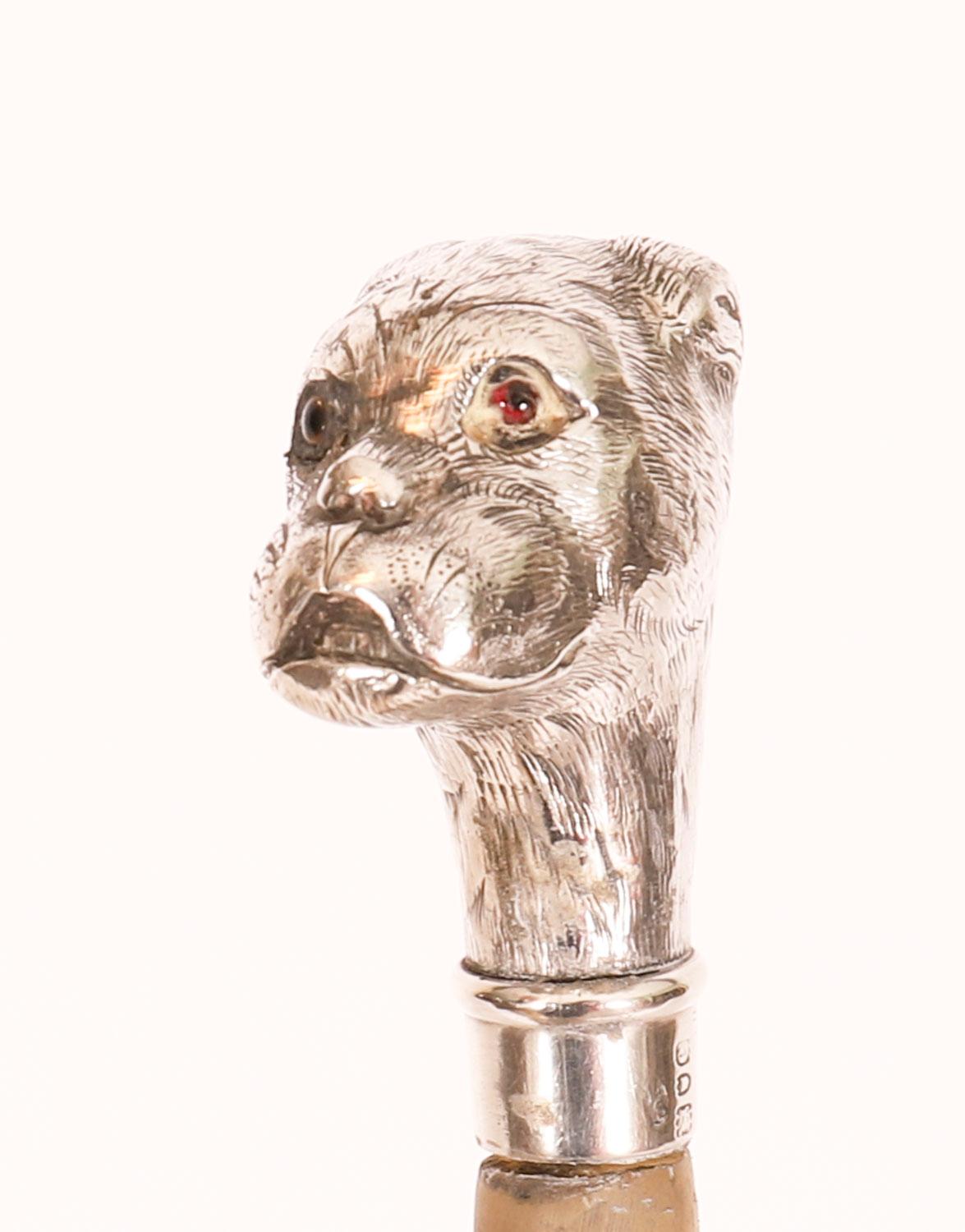 Antique English Boxer Dogs Head Walking Cane Stick 20th Century For Sale 3
