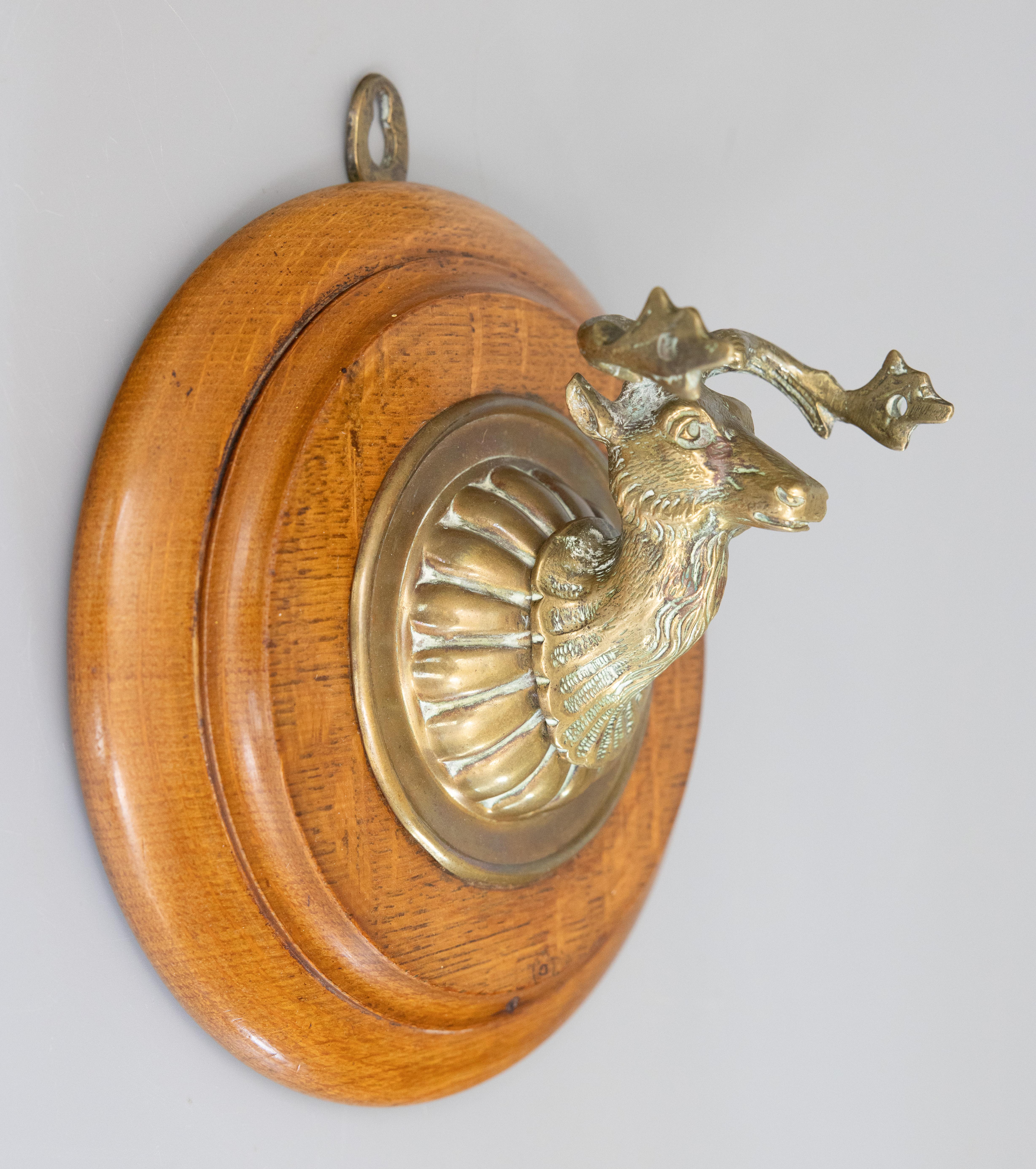 Ancienne applique murale en laiton en forme d'élan de cerf sur plaque en Oak, circa 1900 en vente 1