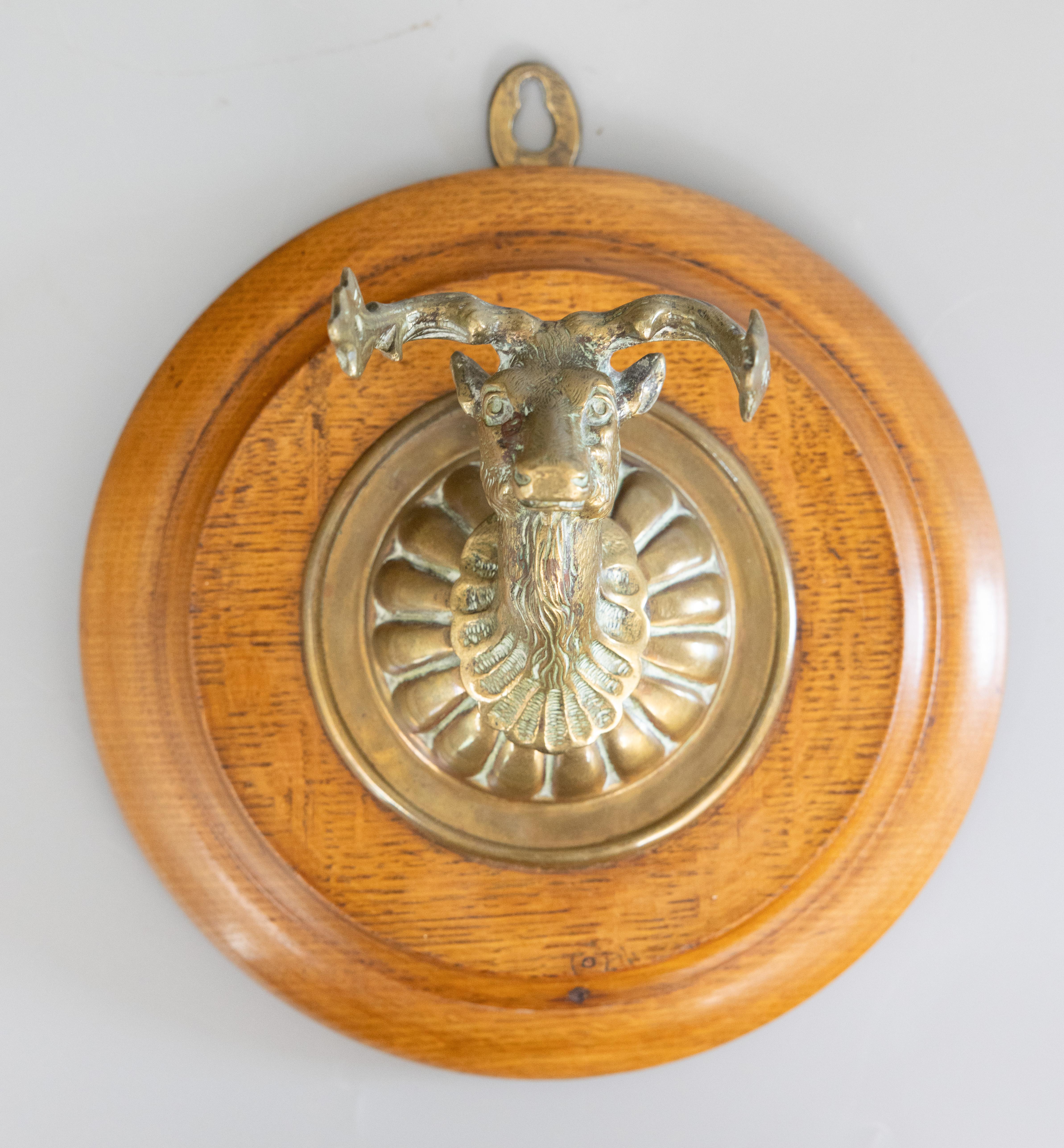 Support mural en laiton pour cerf et élan, sur une plaque en chêne, vers 1900. Il est parfait pour votre décor de lodge rustique ou dans un bureau.

Dimensions
8,5ʺW × 5,25ʺD × 9,3ʺH