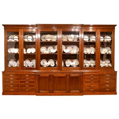 Vintage English Break-Front Bibliotheque Bookcase in Mahogany, circa 1870