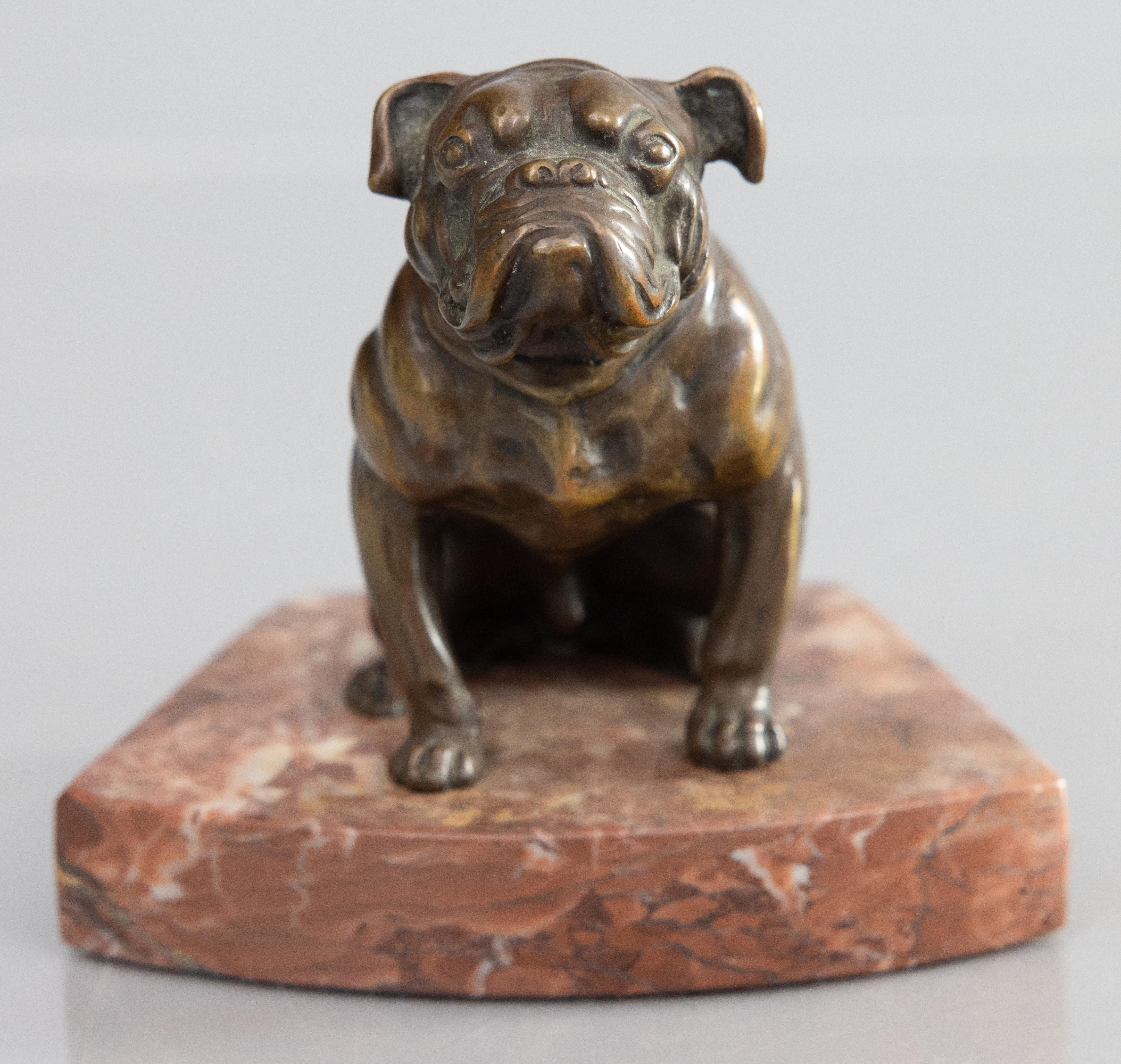 A fabulous finely cast antique early 20th Century bronze sculpture of an English Bulldog on a marble base. From a superb collector's estate in England. It is solid and well cast, weighing 2 lbs 12 oz. This fine fellow is seated in typical bulldog