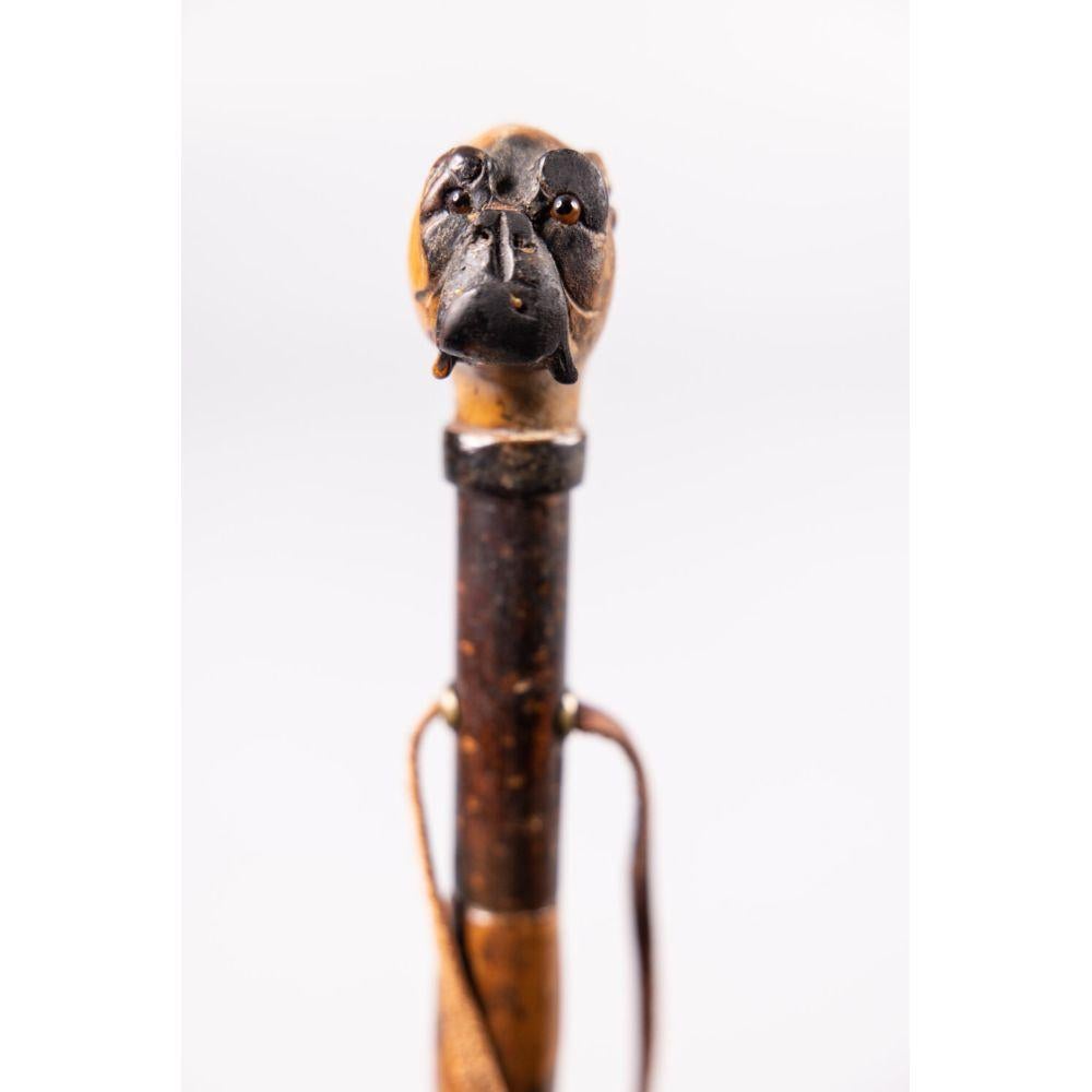 Antique English Bulldog Carved Walnut Walking Stick 1