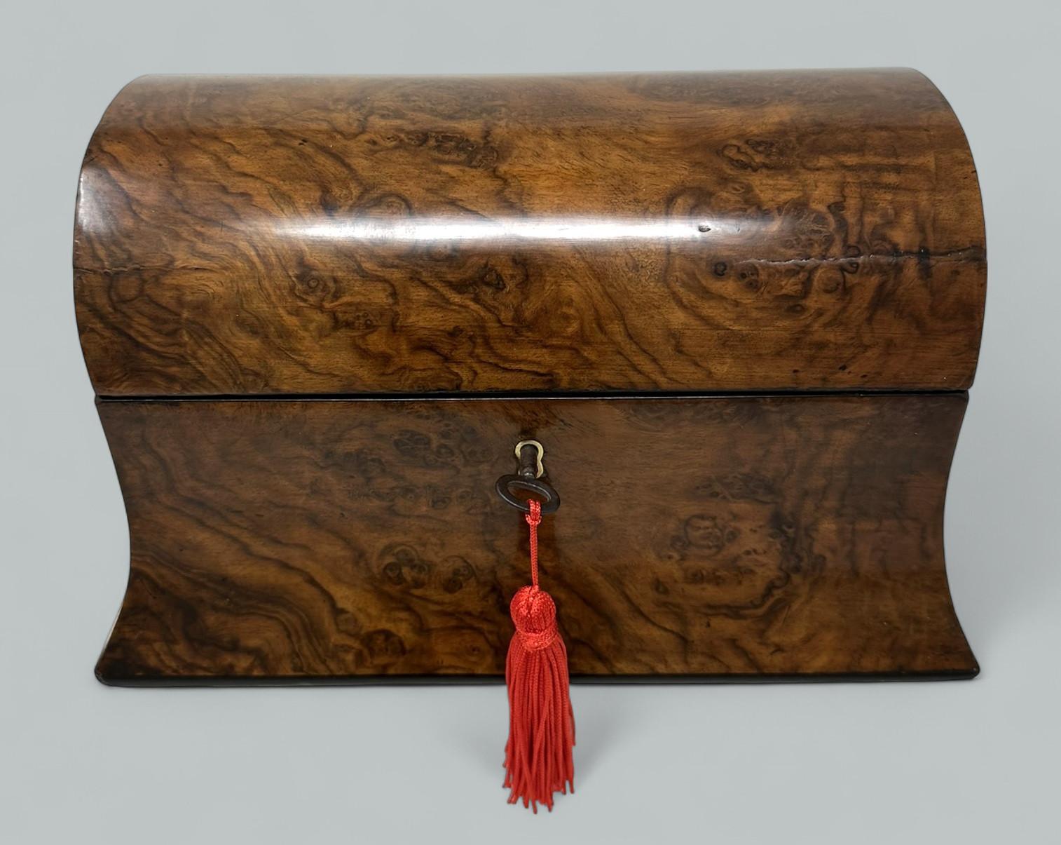 Ein hervorragendes Beispiel für einen englischen georgianischen Stil Gut gemaserte Burr Walnut Double Interior Abschnitt Tea Caddy von ganz selten Kuppel oben und Verbreitung Basis Kontur, großzügige Proportionen und hervorragende Qualität. Letzte