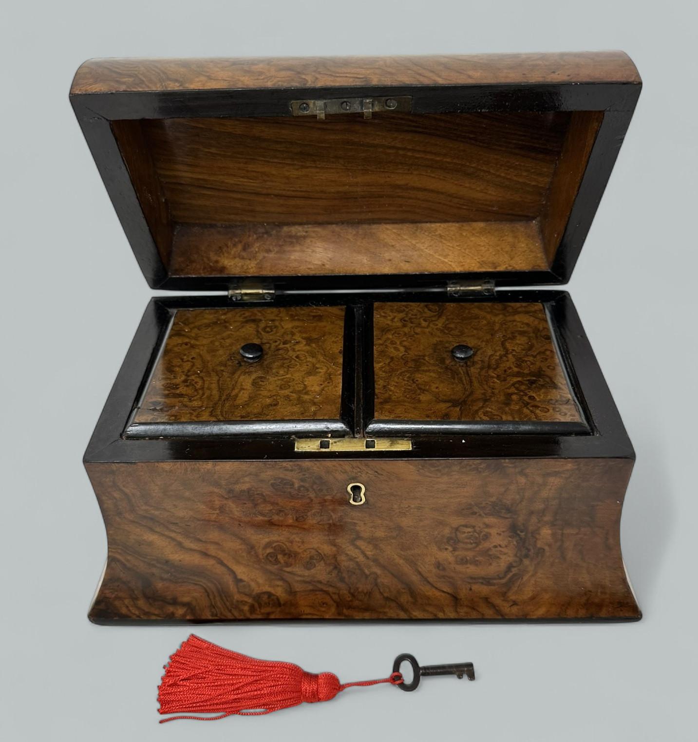 Antike englische Wurzelholz Nussbaum hölzerne viktorianische Doppel Tee Caddy 19. (Frühviktorianisch) im Angebot
