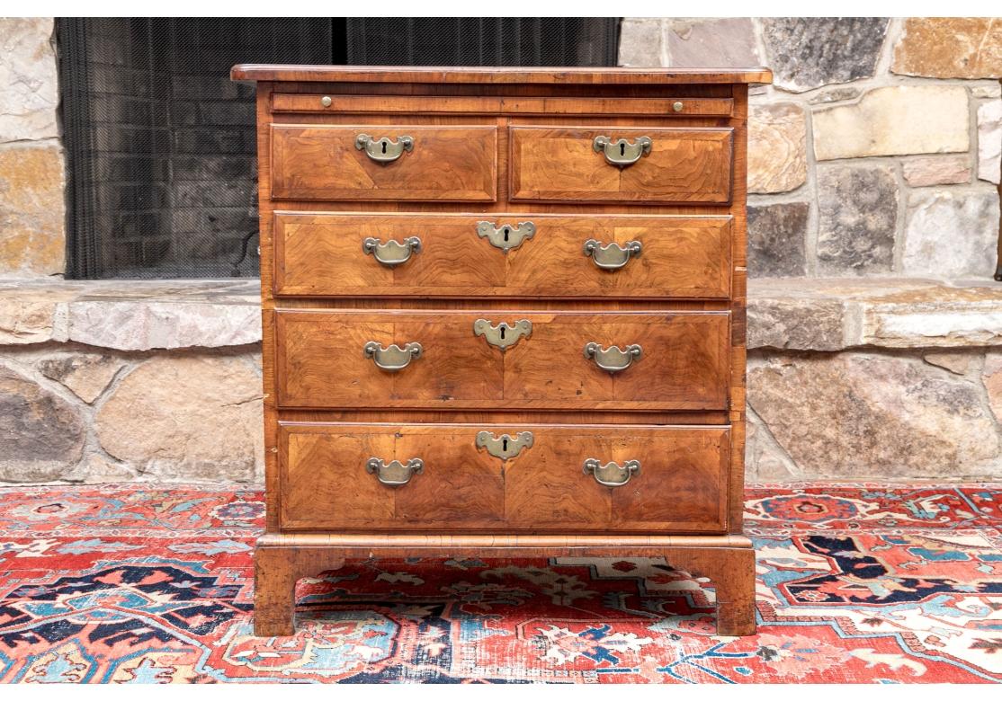 Antique English Burl Walnut Two-Over-Three Bachelor’s Chest For Sale 5