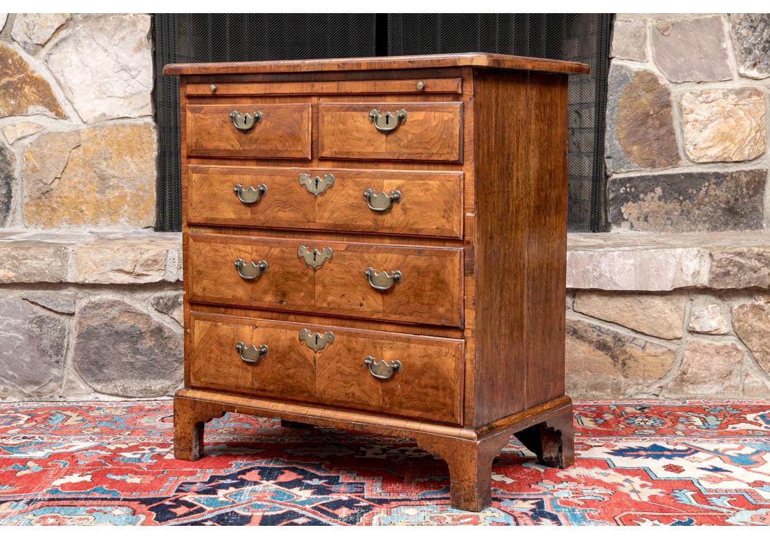 Antique English Burl Walnut Two-Over-Three Bachelor’s Chest For Sale 6