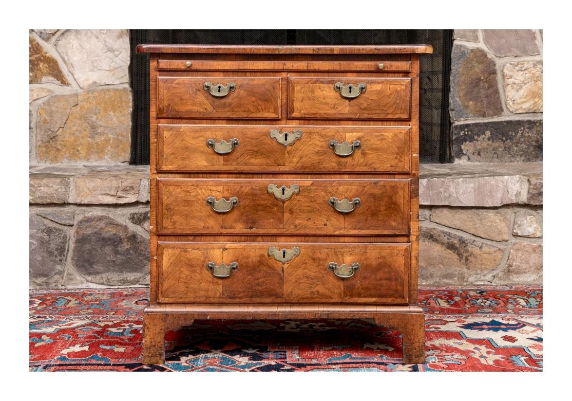 Antique English Burl Walnut Two-Over-Three Bachelor’s Chest For Sale 13