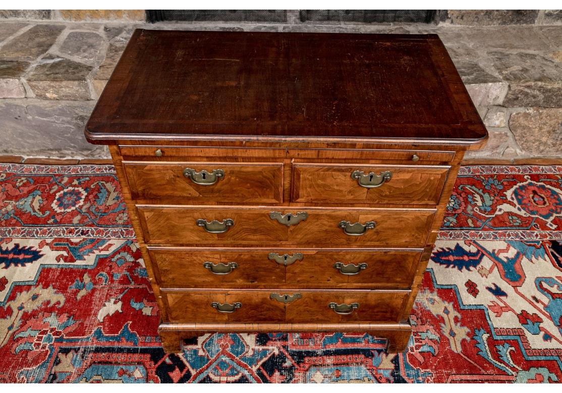 Antique English Burl Walnut Two-Over-Three Bachelor’s Chest In Fair Condition For Sale In Bridgeport, CT