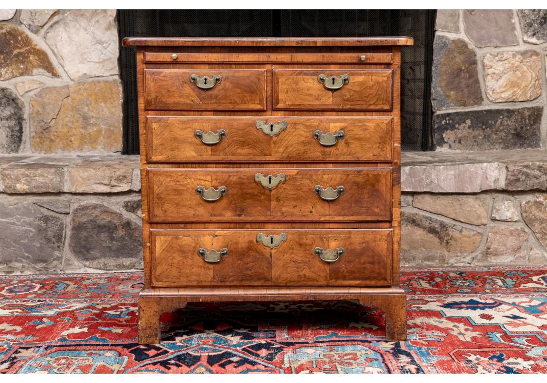 Antique English Burl Walnut Two-Over-Three Bachelor’s Chest For Sale 2