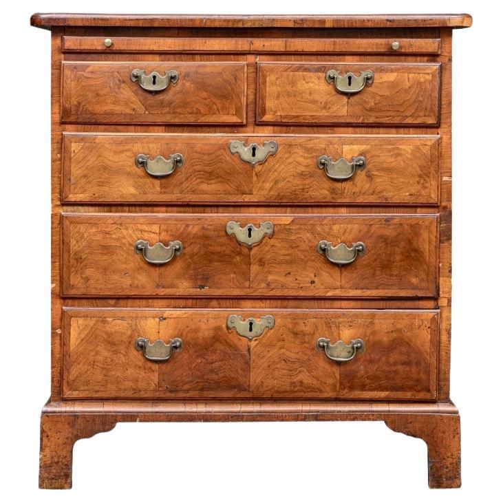 Antique English Burl Walnut Two-Over-Three Bachelor’s Chest For Sale