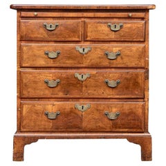 Used English Burl Walnut Two-Over-Three Bachelor’s Chest
