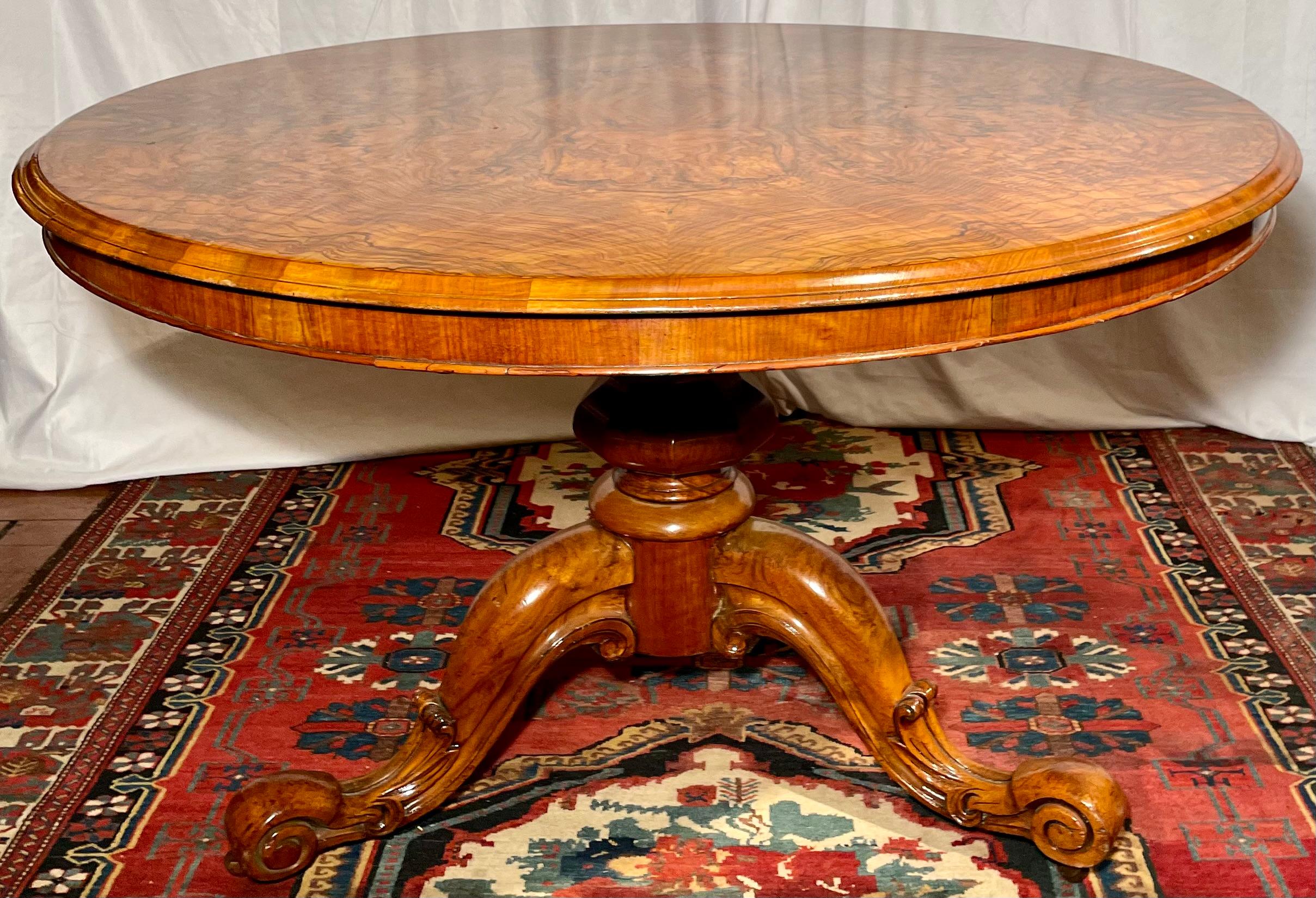 Antique English burled walnut center table, circa 1870.