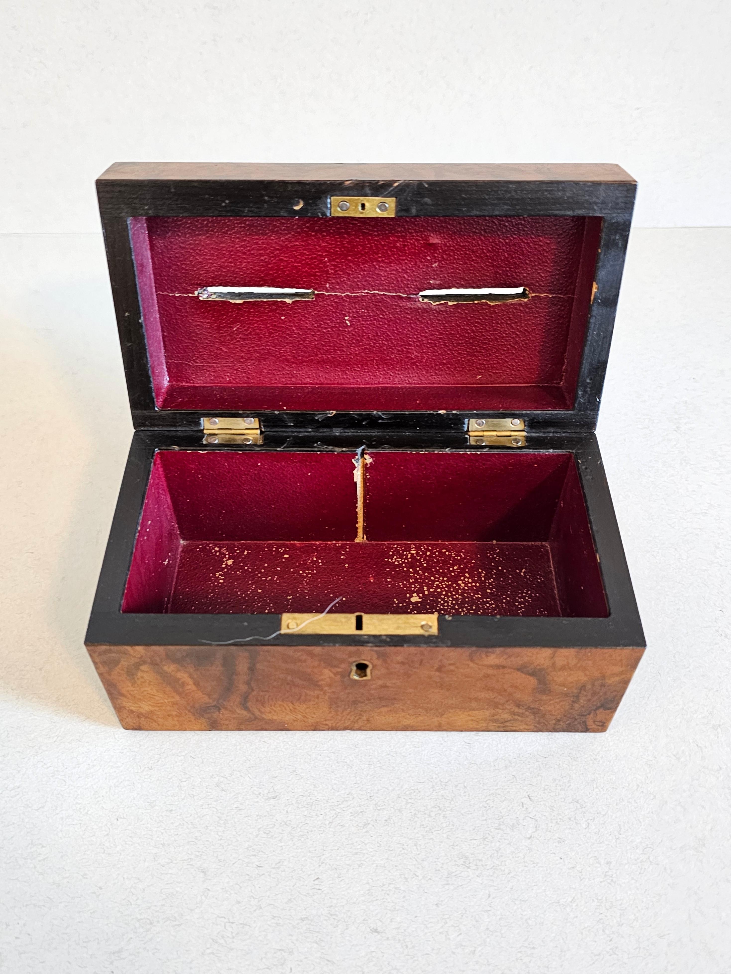 19th Century Antique English Burlwood Voting Box / Still Bank For Sale