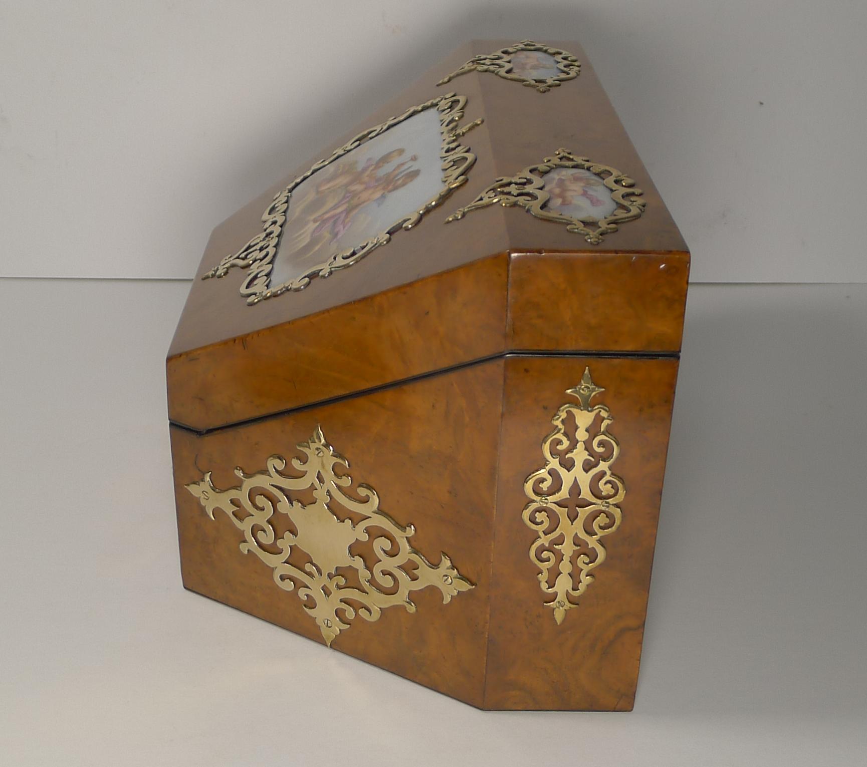 Antike englische Schreibwarenbox aus Wurzelholz und handbemaltem Porzellan, um 1850 (Messing) im Angebot