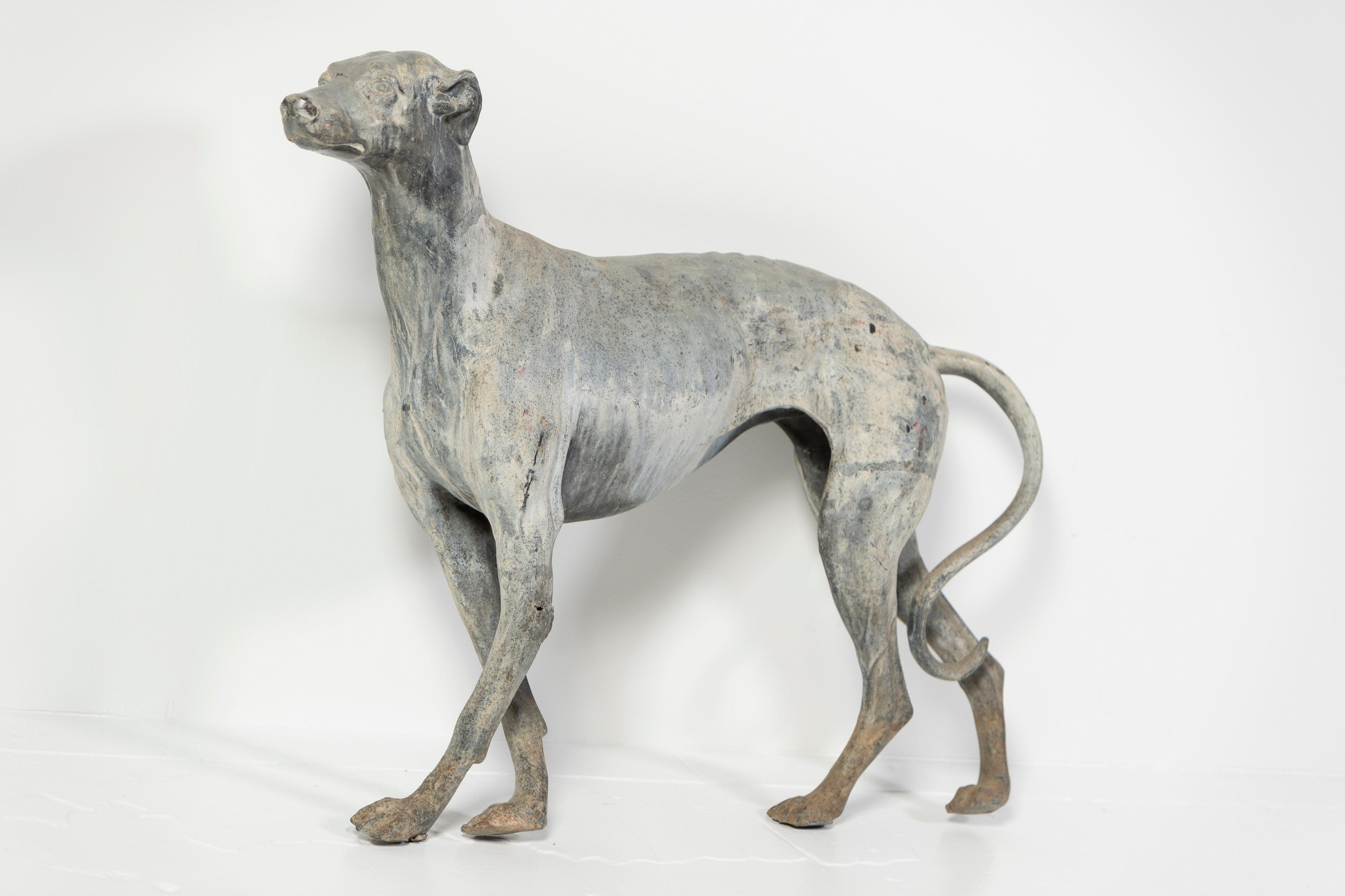 Splendidamente patinata e dettagliata, questa scultura in piombo fuso di un Whippet è elegante e gentile, proprio come la razza. In piedi in una posa dignitosa, la scultura sarebbe meglio esposta su un basamento di legno orizzontale. Ci sono diverse