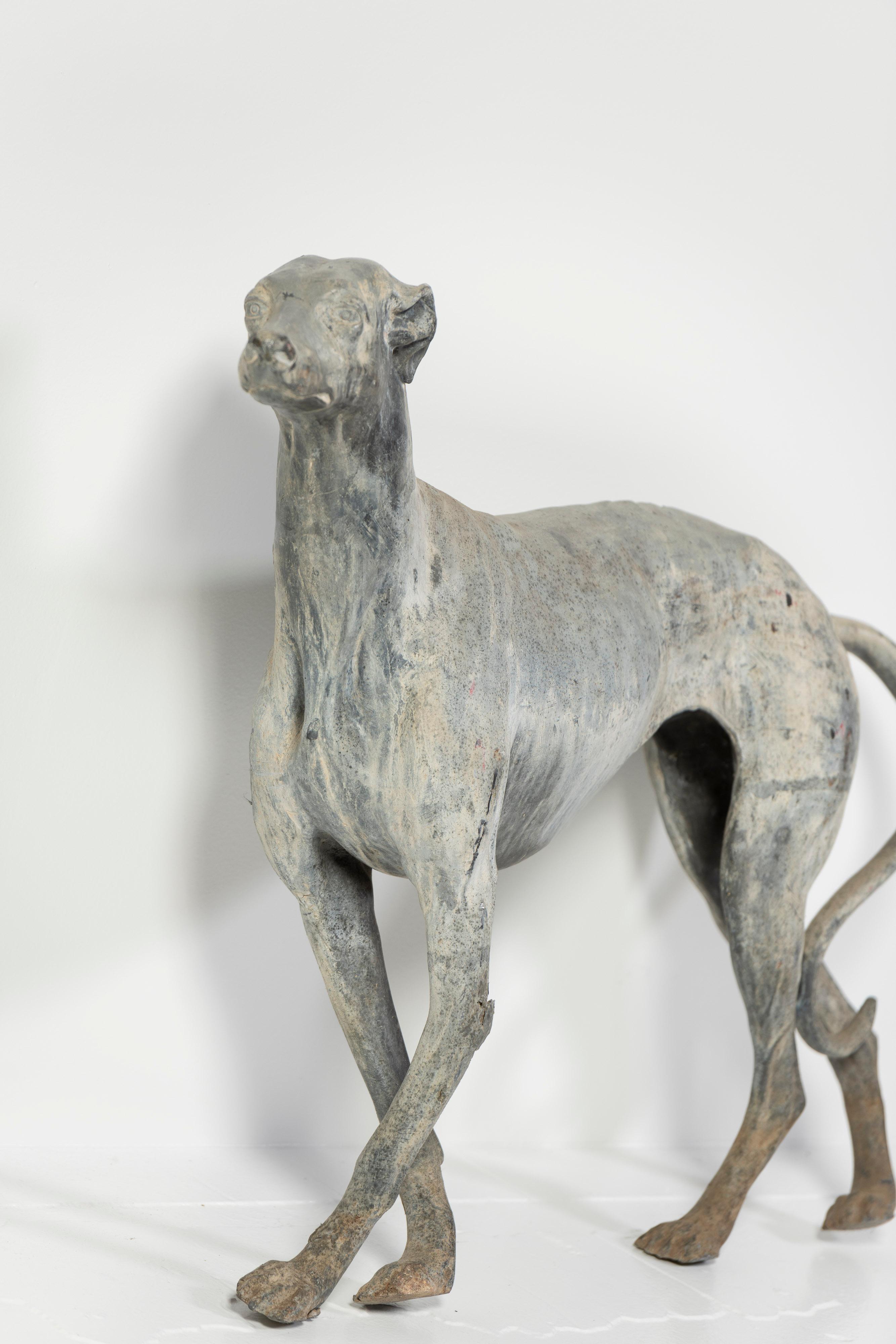 Tardo vittoriano Antica scultura inglese in piombo fuso di Whippet in piedi, Inghilterra, 1900 in vendita
