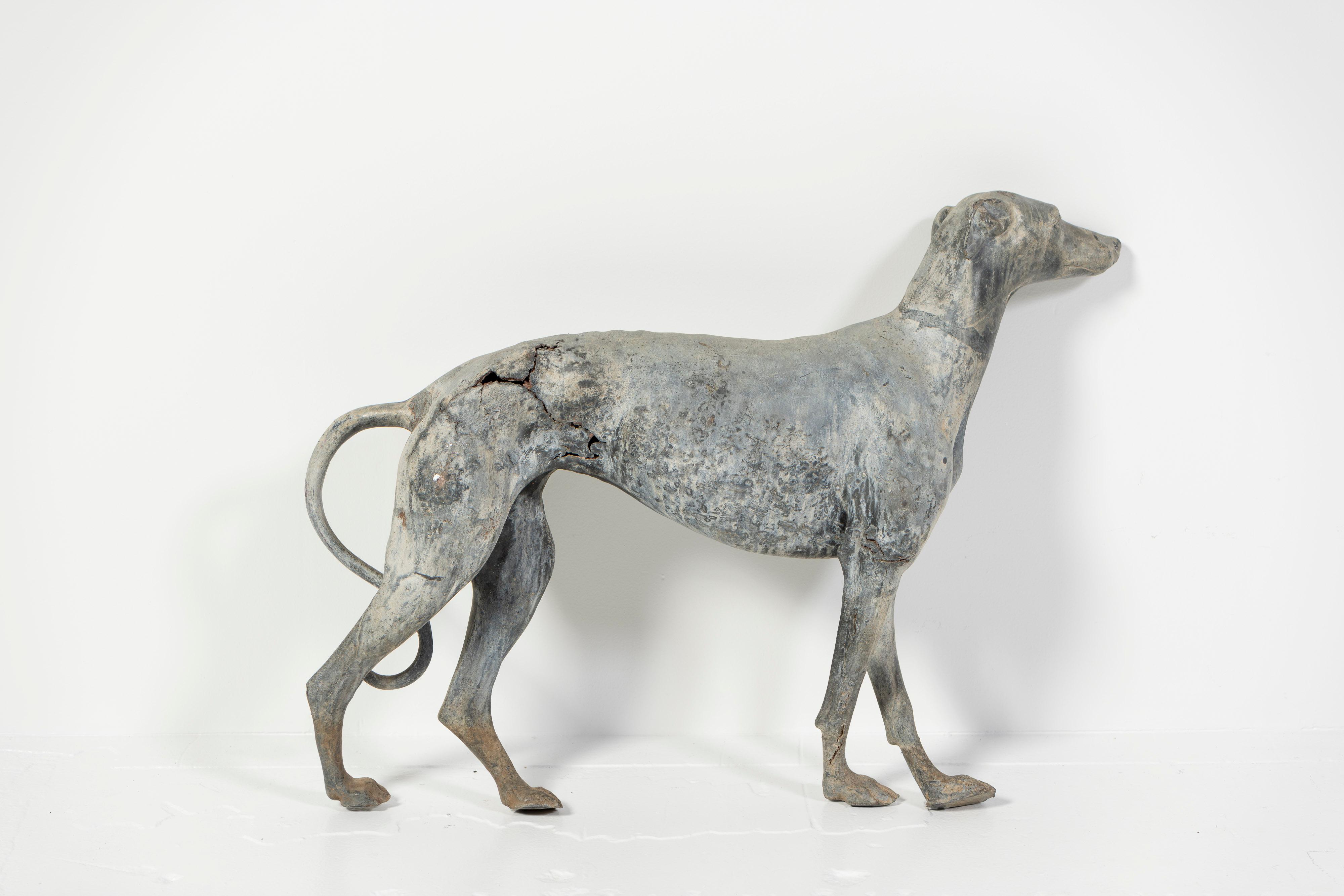 Piombo Antica scultura inglese in piombo fuso di Whippet in piedi, Inghilterra, 1900 in vendita