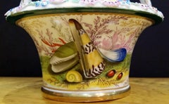 Antique English Chamberlain Worcester Sea Shell Porcelain Basket and Cover