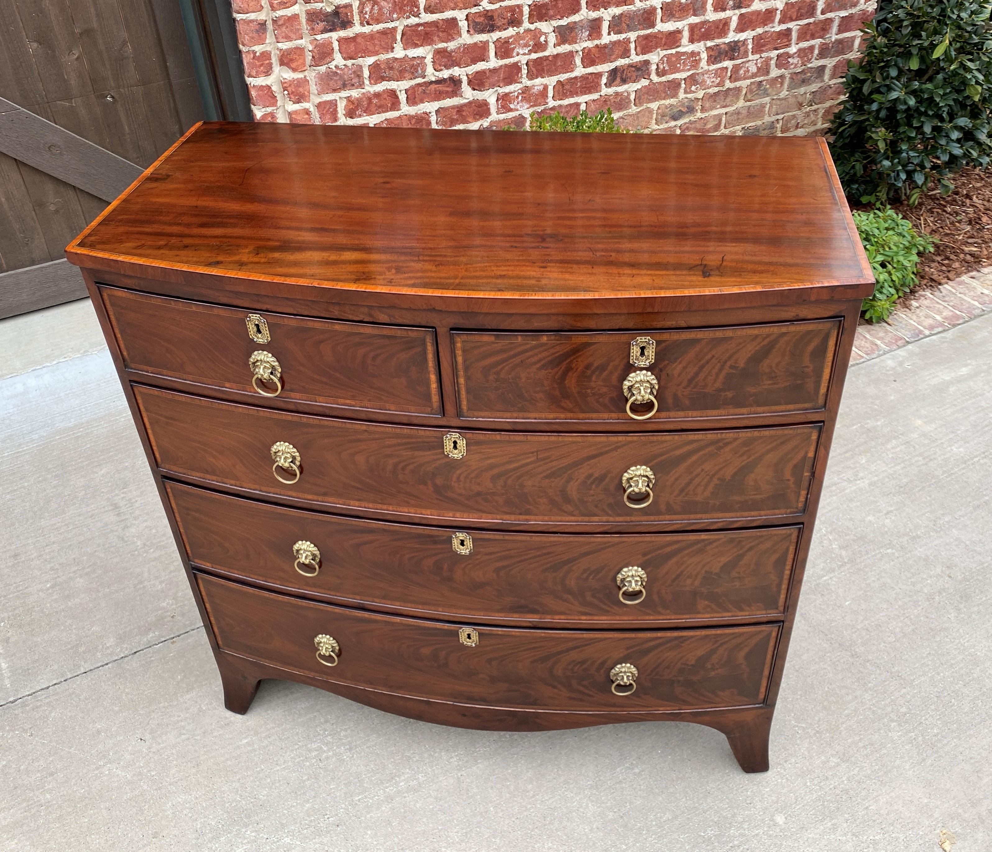 Antique English Chest of Drawers Bow Front Mahogany 5-Drawer Commode 19th C 4