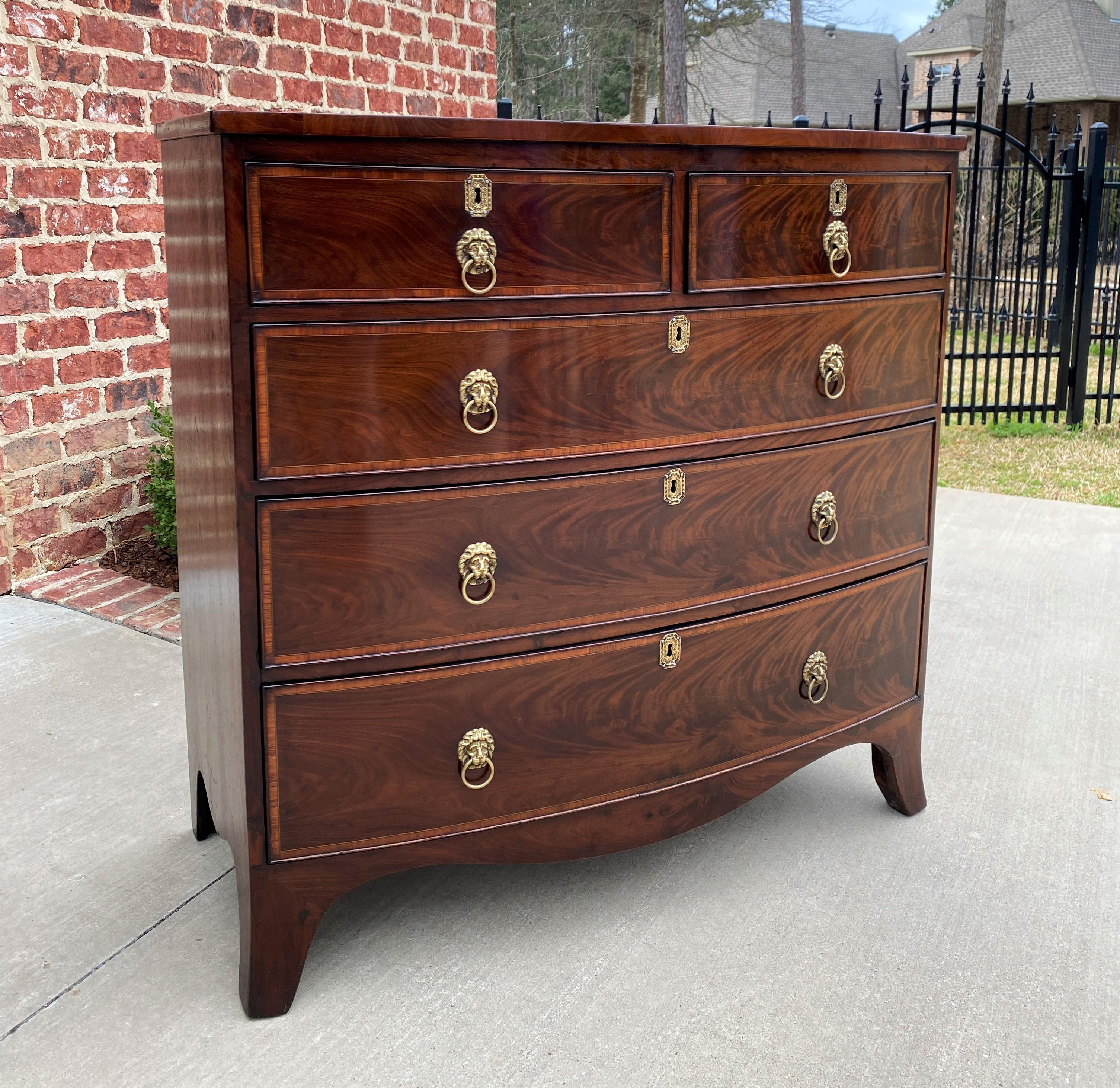 Antique English Chest of Drawers Bow Front Mahogany 5-Drawer Commode 19th C 5