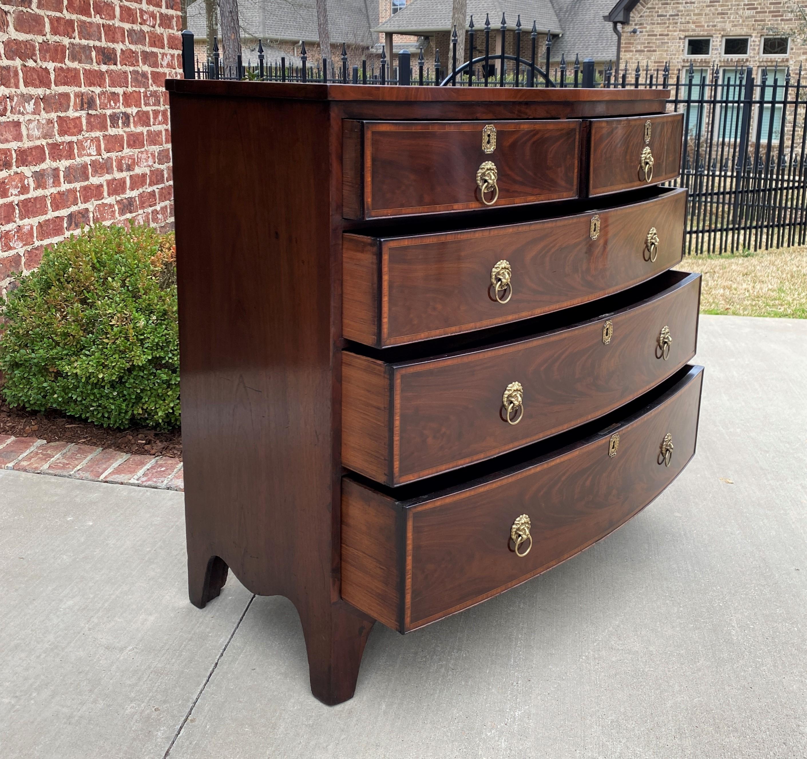 Edwardian Antique English Chest of Drawers Bow Front Mahogany 5-Drawer Commode 19th C