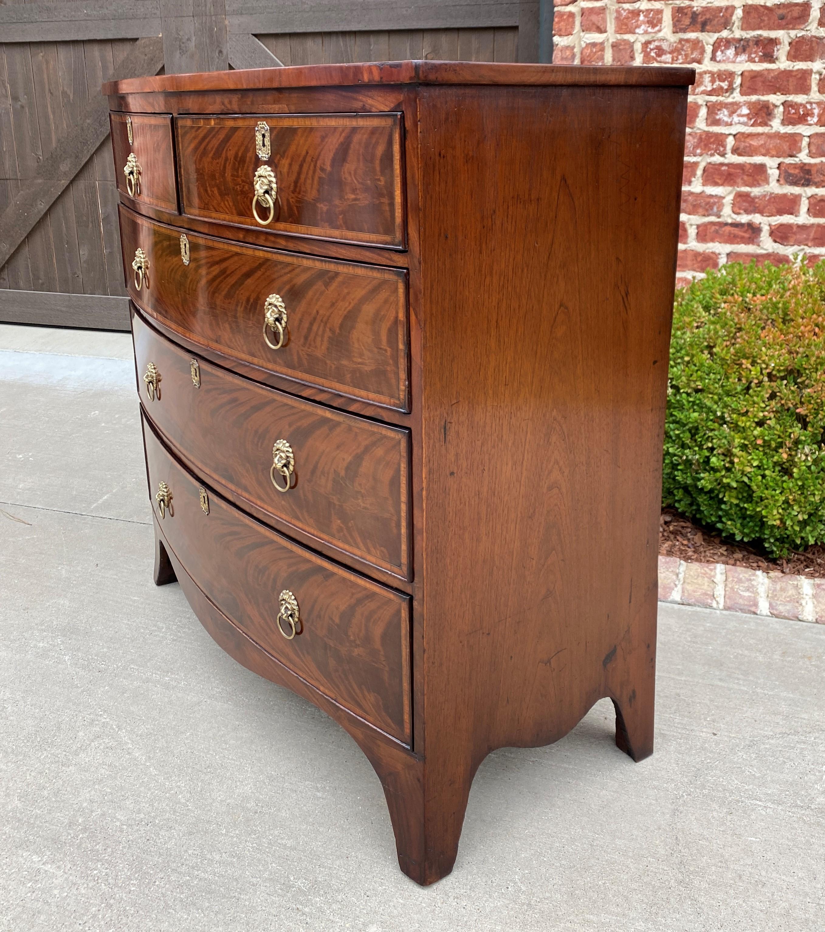 19th Century Antique English Chest of Drawers Bow Front Mahogany 5-Drawer Commode 19th C